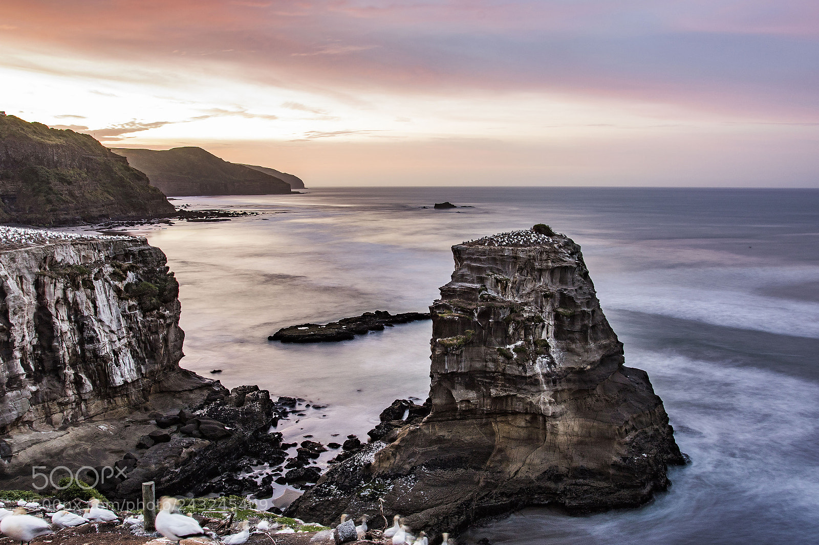 Canon EOS 7D Mark II sample photo. Sunrise muriwai photography