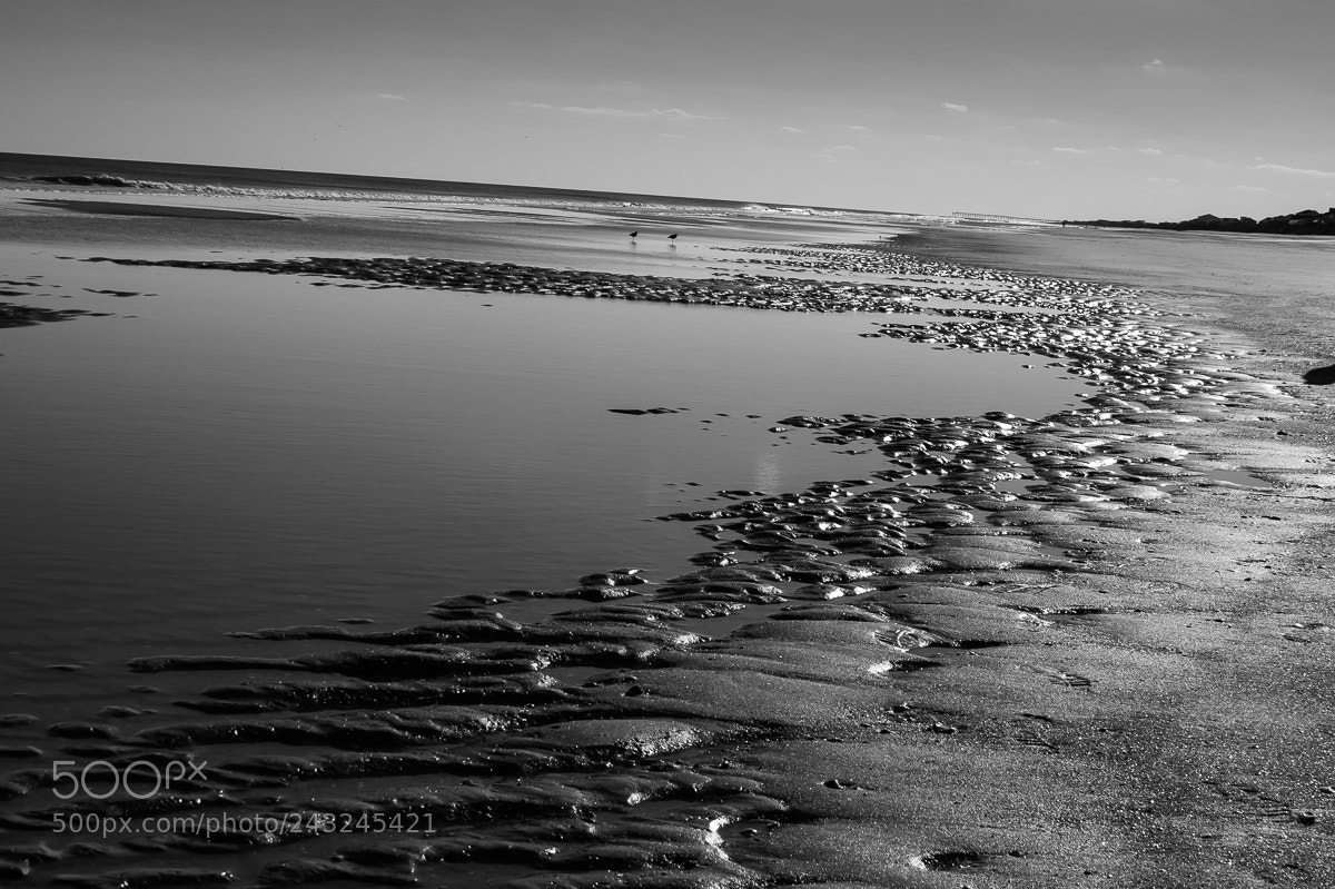 Canon PowerShot SX50 HS sample photo. Black and white beach photography