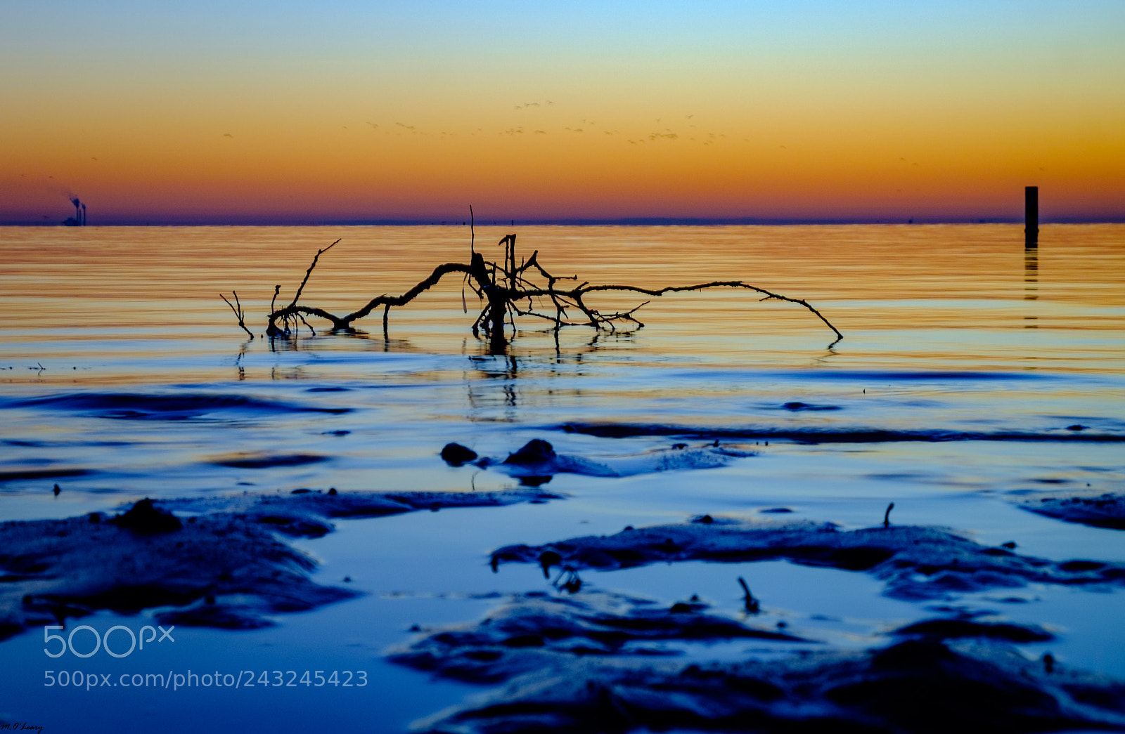 Fujifilm X-T1 sample photo. Sunrise vinoy park... photography