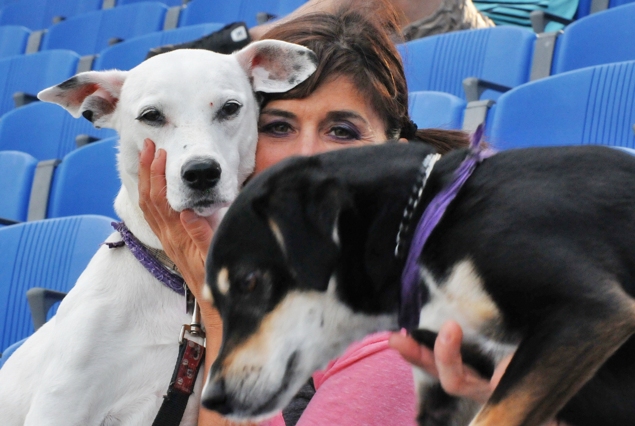 Nikon D300S sample photo. Lady at bark in the park photography