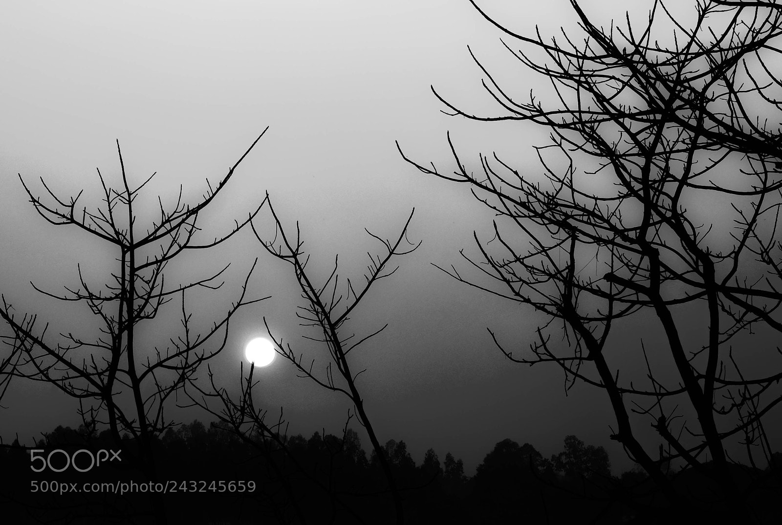 Fujifilm X-T1 sample photo. Untitled photography