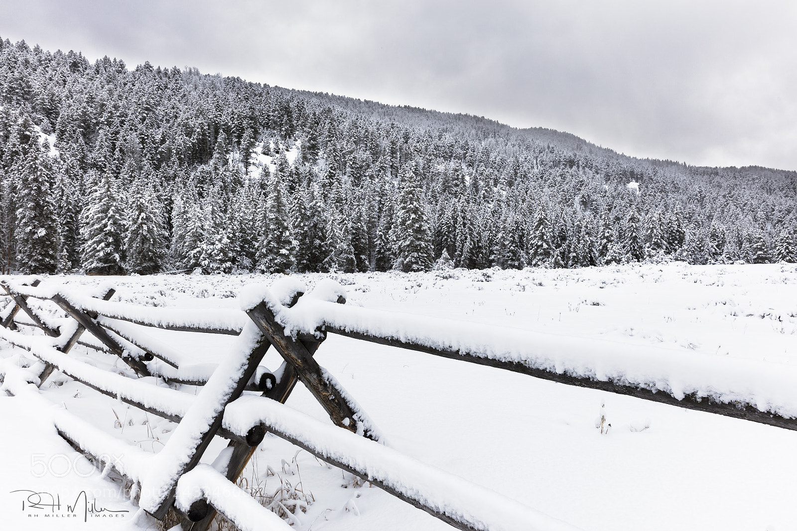 Canon EOS 5DS R sample photo. The clean season photography