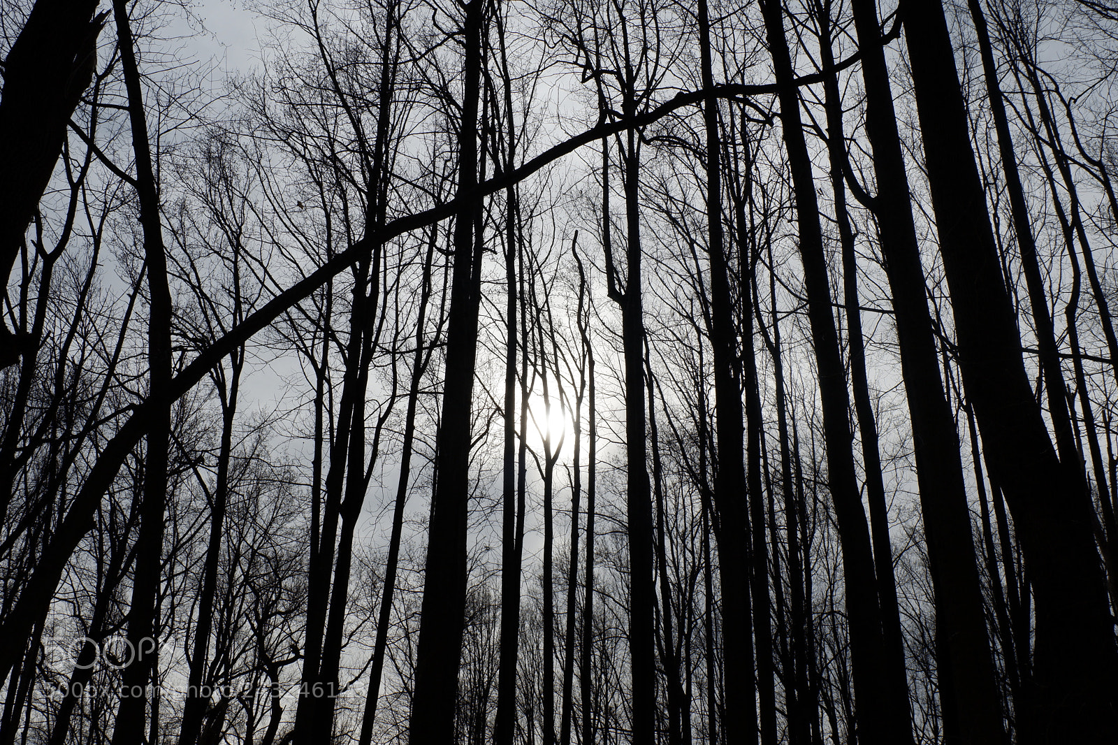 Fujifilm X-A3 sample photo. Mariton wildlife sanctuary photography