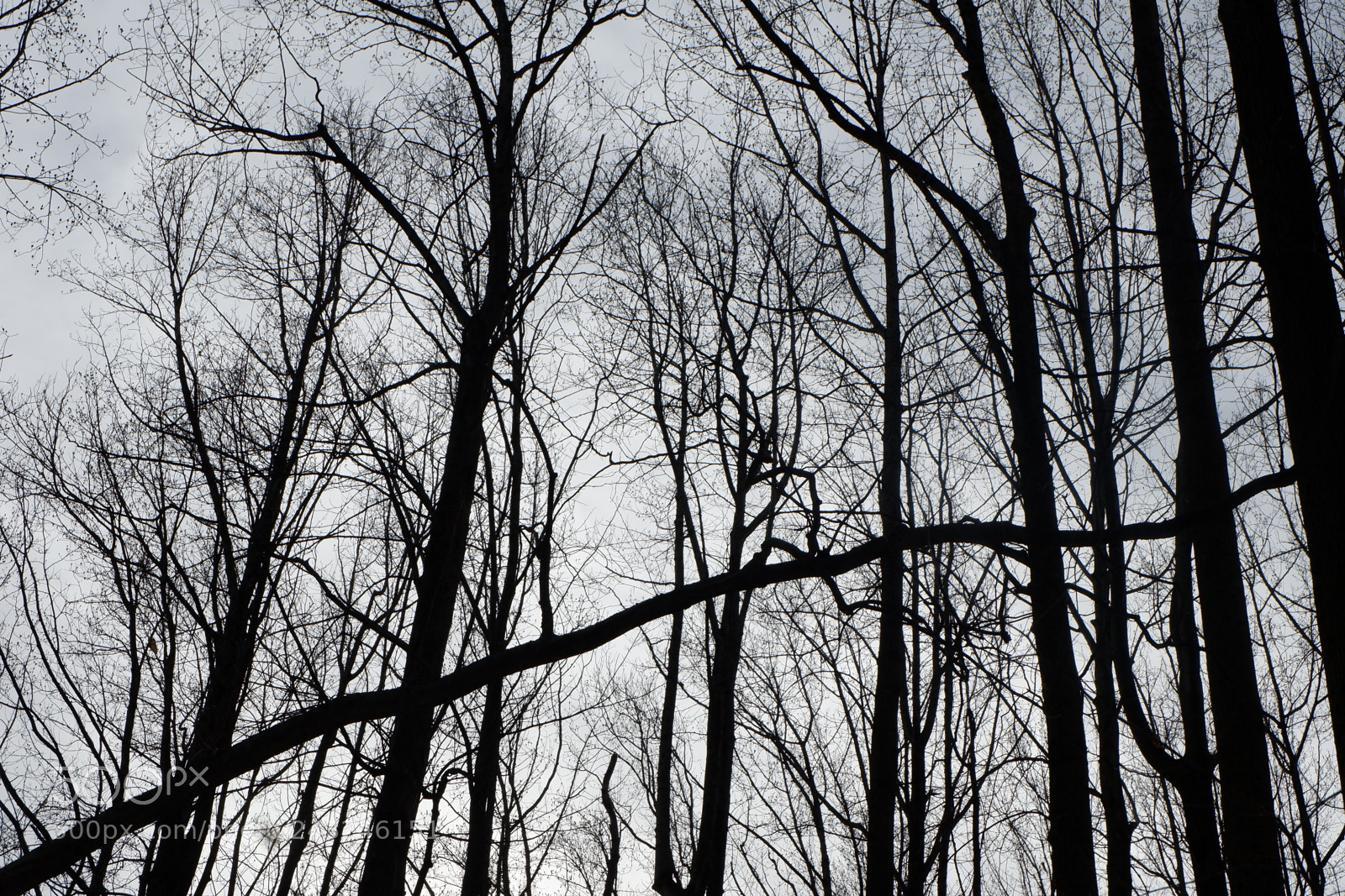 Fujifilm X-A3 sample photo. Mariton wildlife sanctuary photography