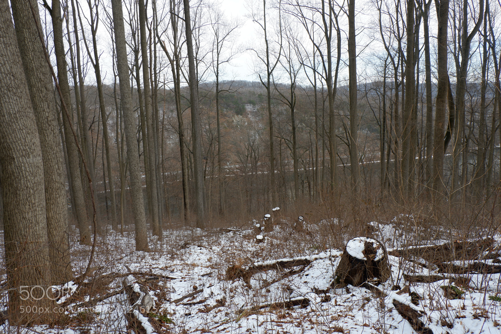 Fujifilm X-A3 sample photo. Mariton wildlife sanctuary photography