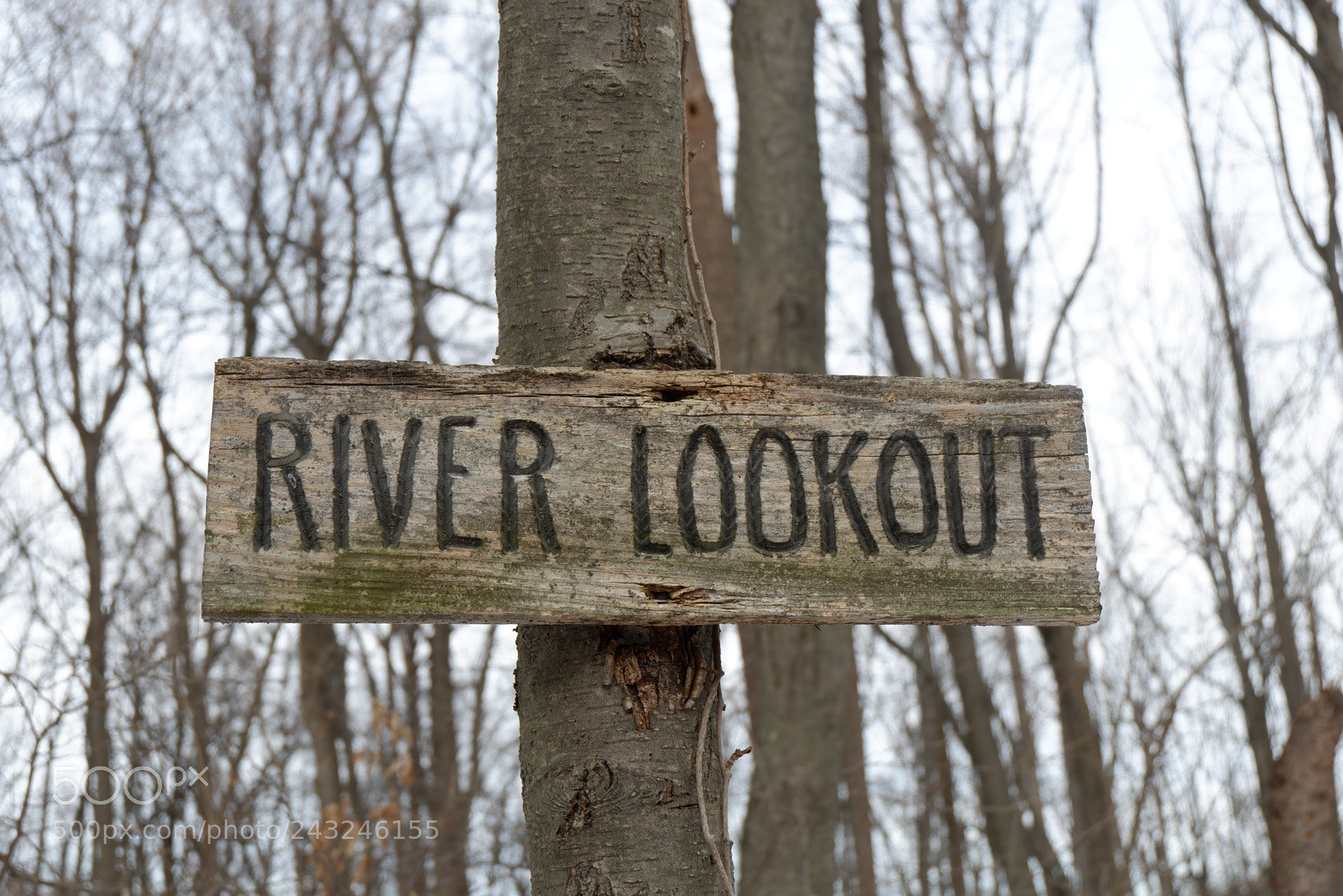 Fujifilm X-A3 sample photo. Mariton wildlife sanctuary photography