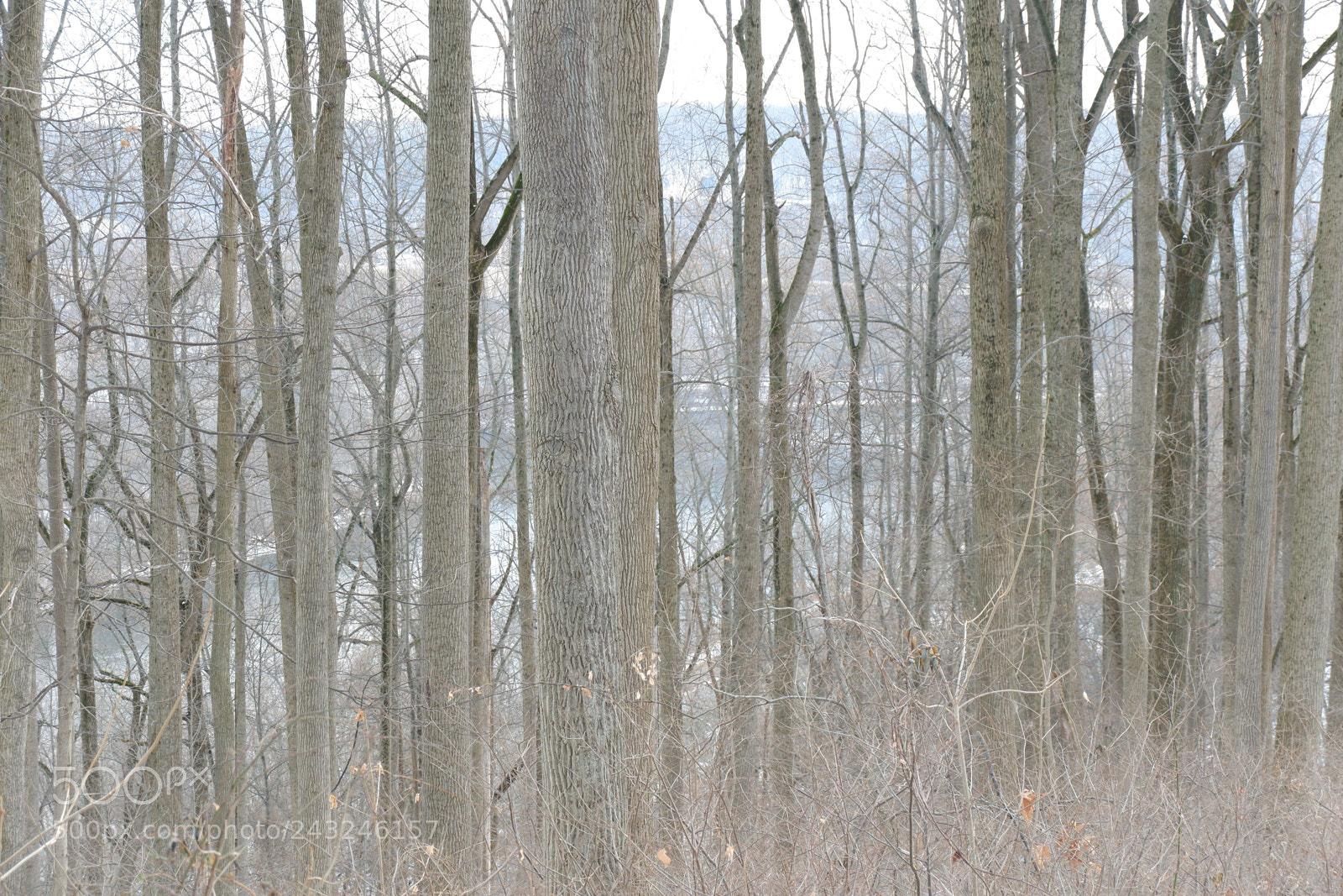 Fujifilm X-A3 sample photo. Mariton wildlife sanctuary photography