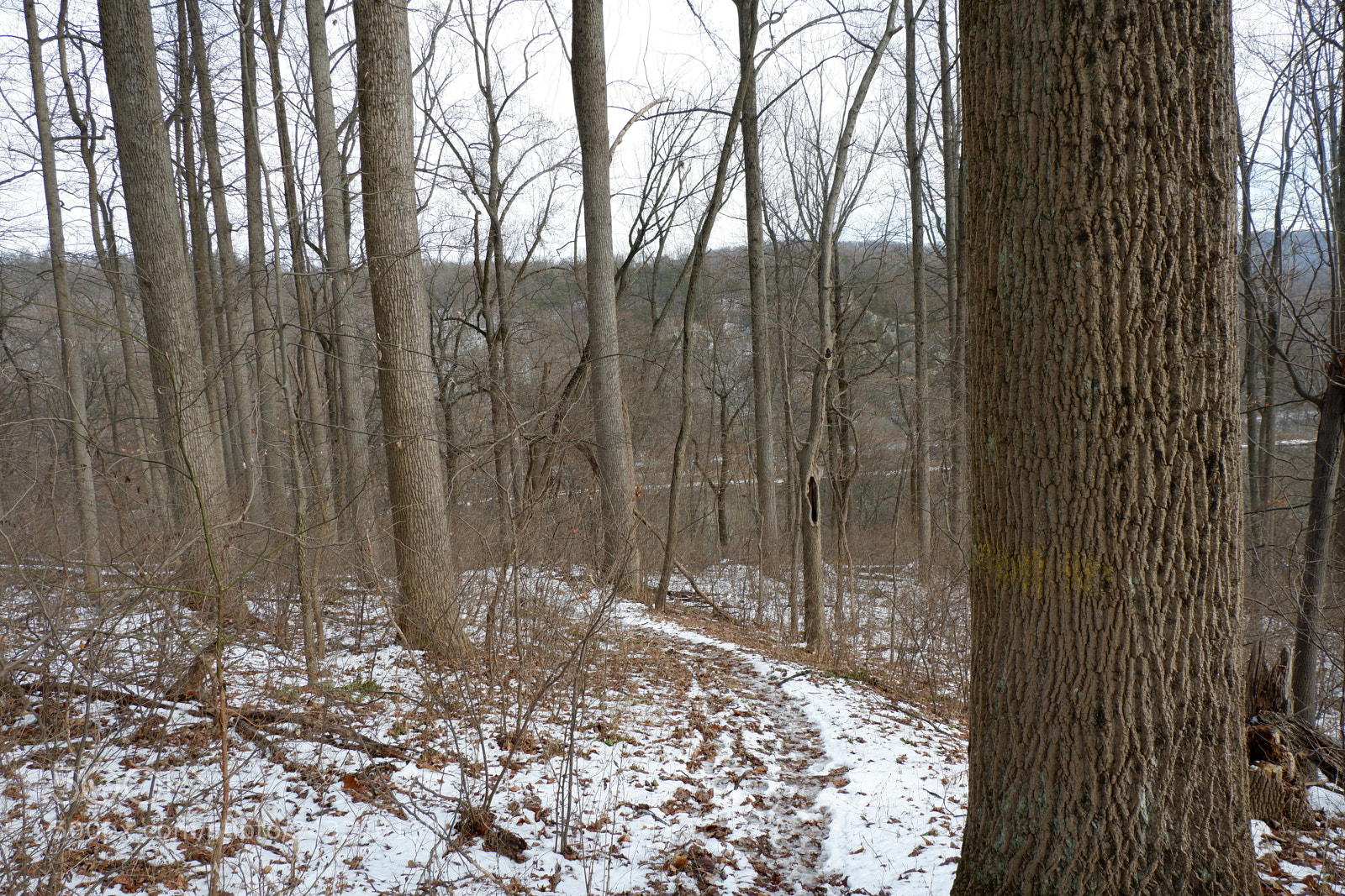 Fujifilm X-A3 sample photo. Mariton wildlife sanctuary photography