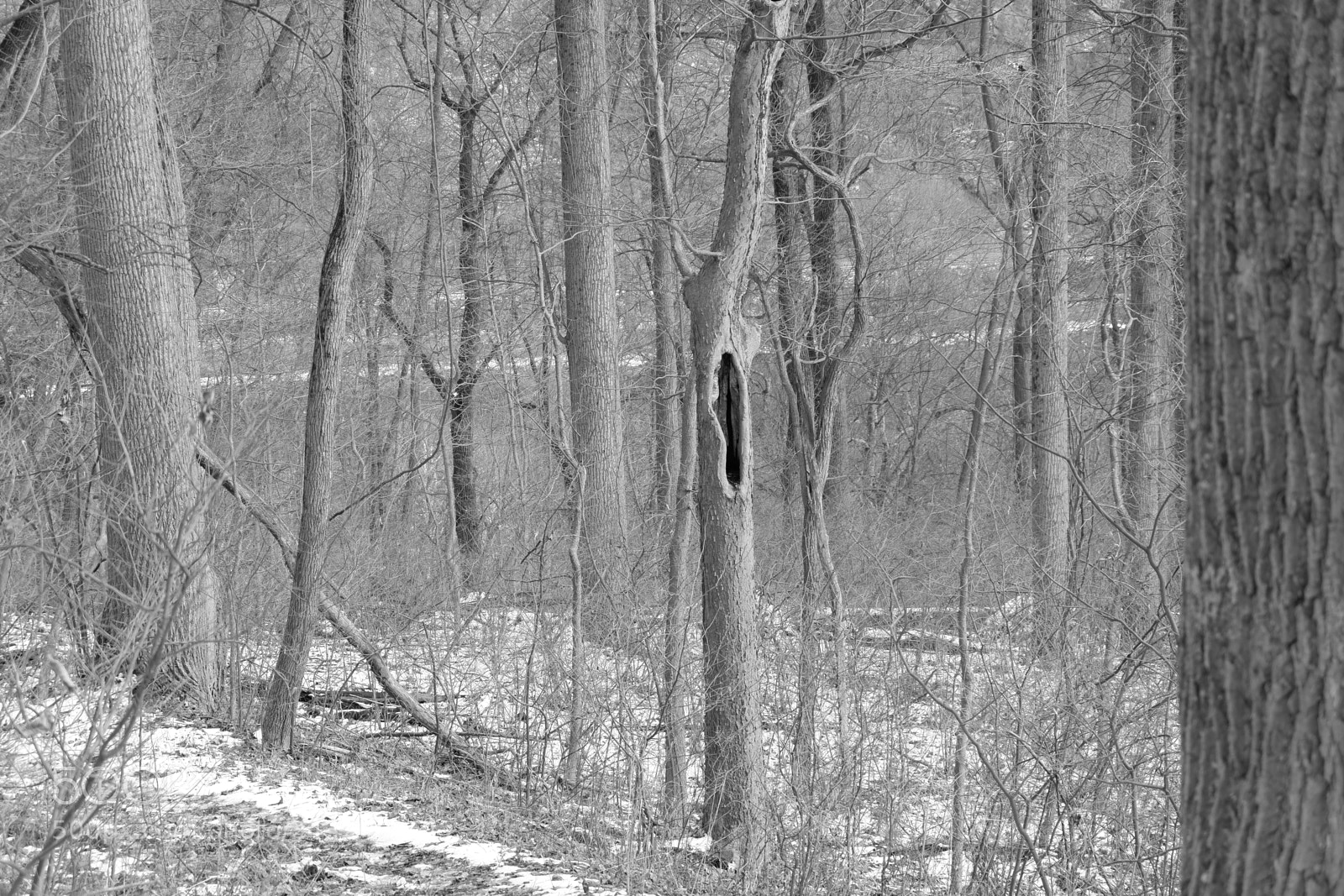Fujifilm X-A3 sample photo. Mariton wildlife sanctuary photography