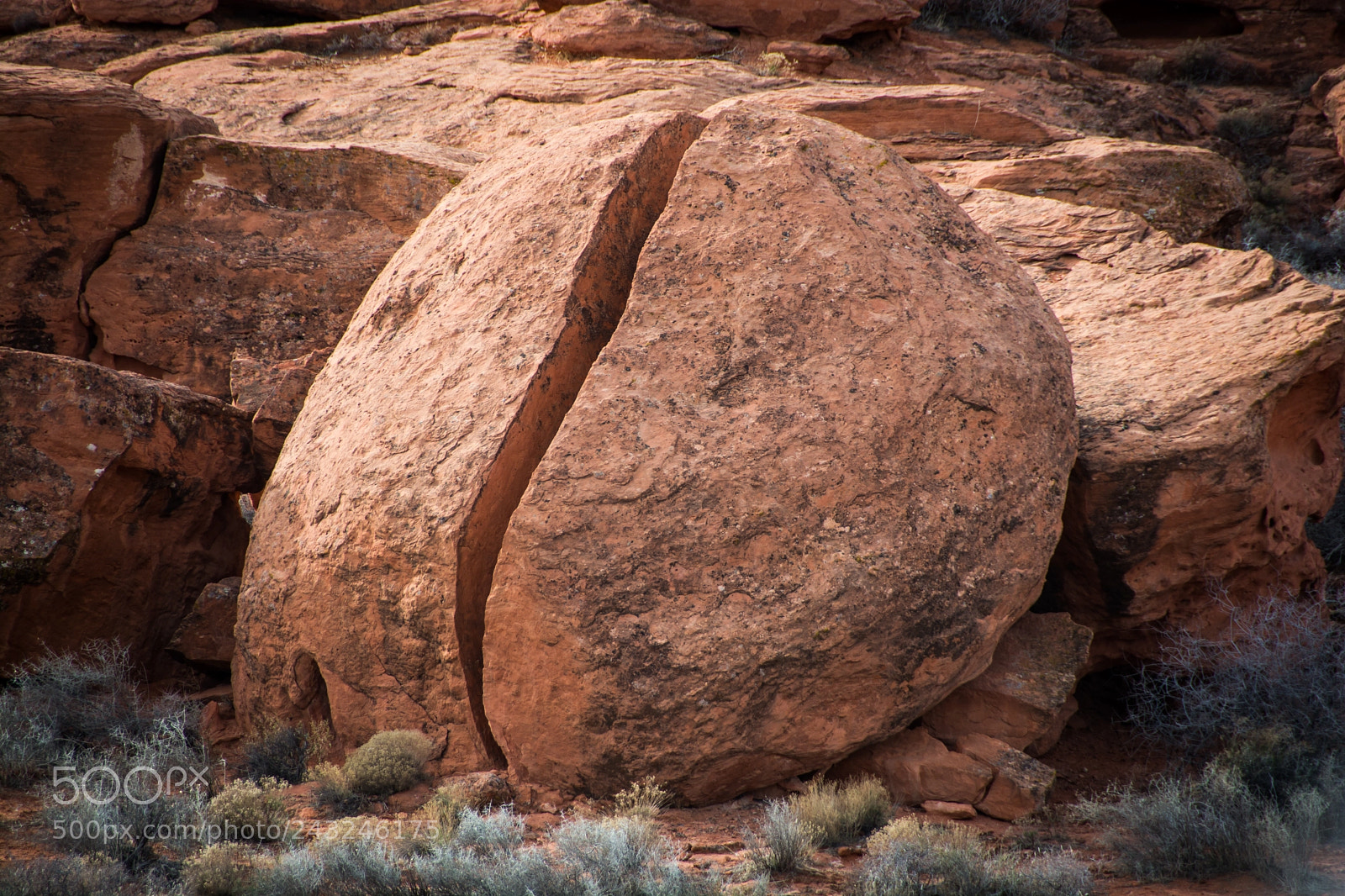 Nikon D7100 sample photo. A broken egg as photography