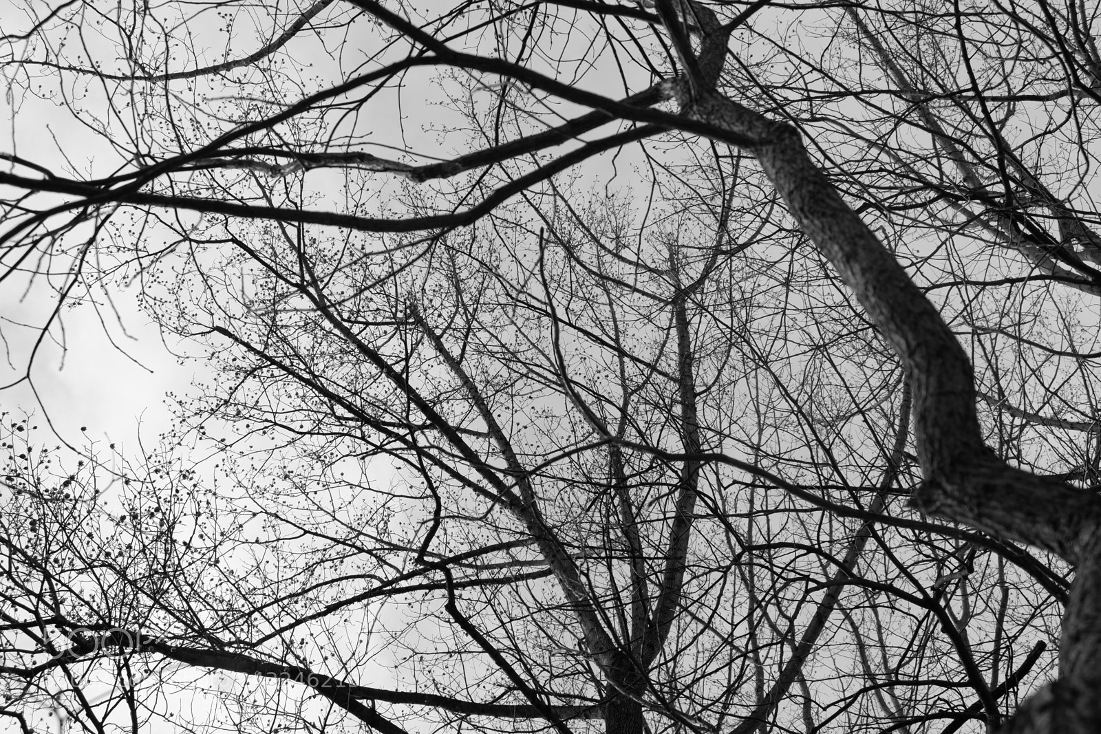 Fujifilm X-A3 sample photo. Mariton wildlife sanctuary photography