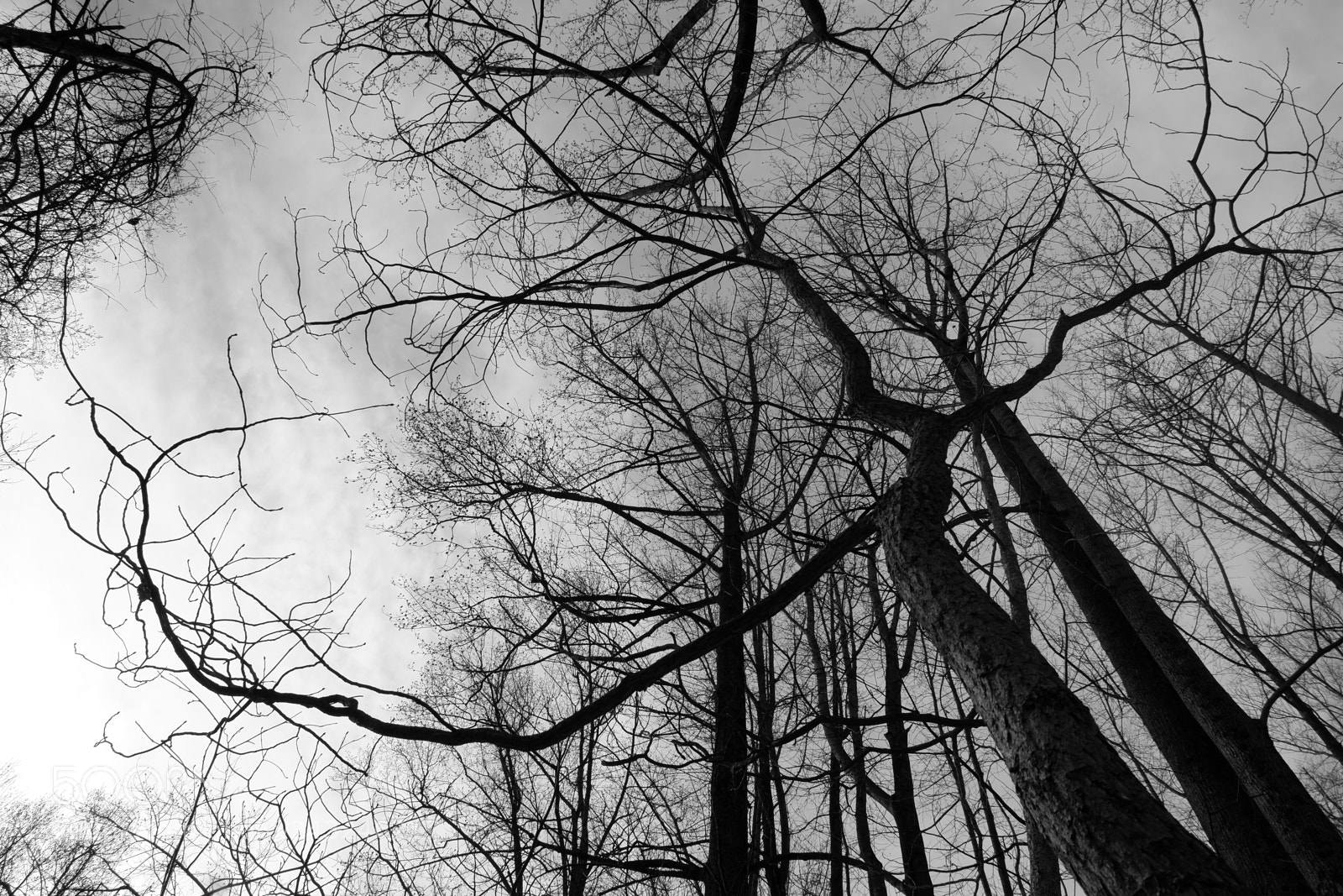 Fujifilm X-A3 sample photo. Mariton wildlife sanctuary photography