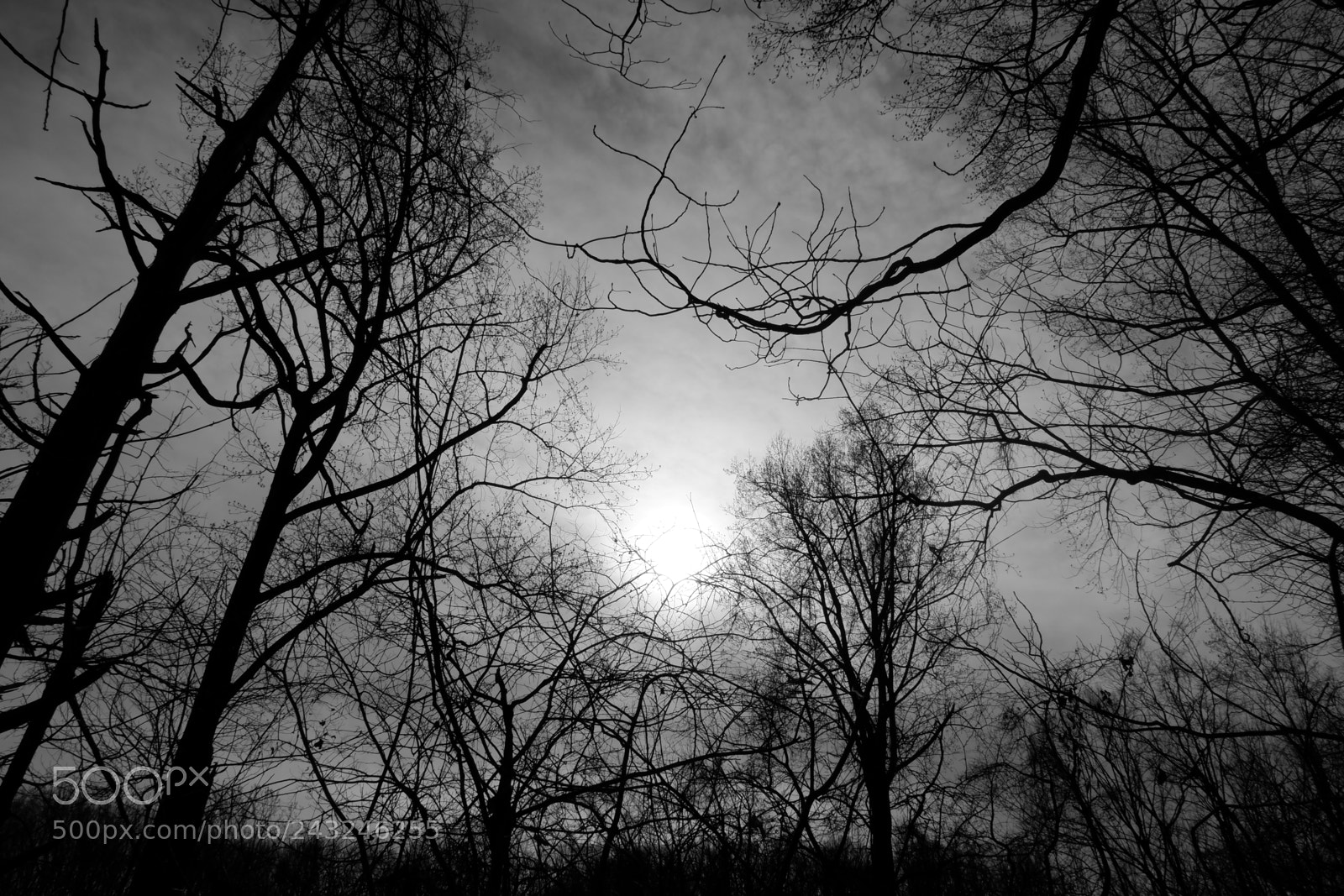 Fujifilm X-A3 sample photo. Mariton wildlife sanctuary photography