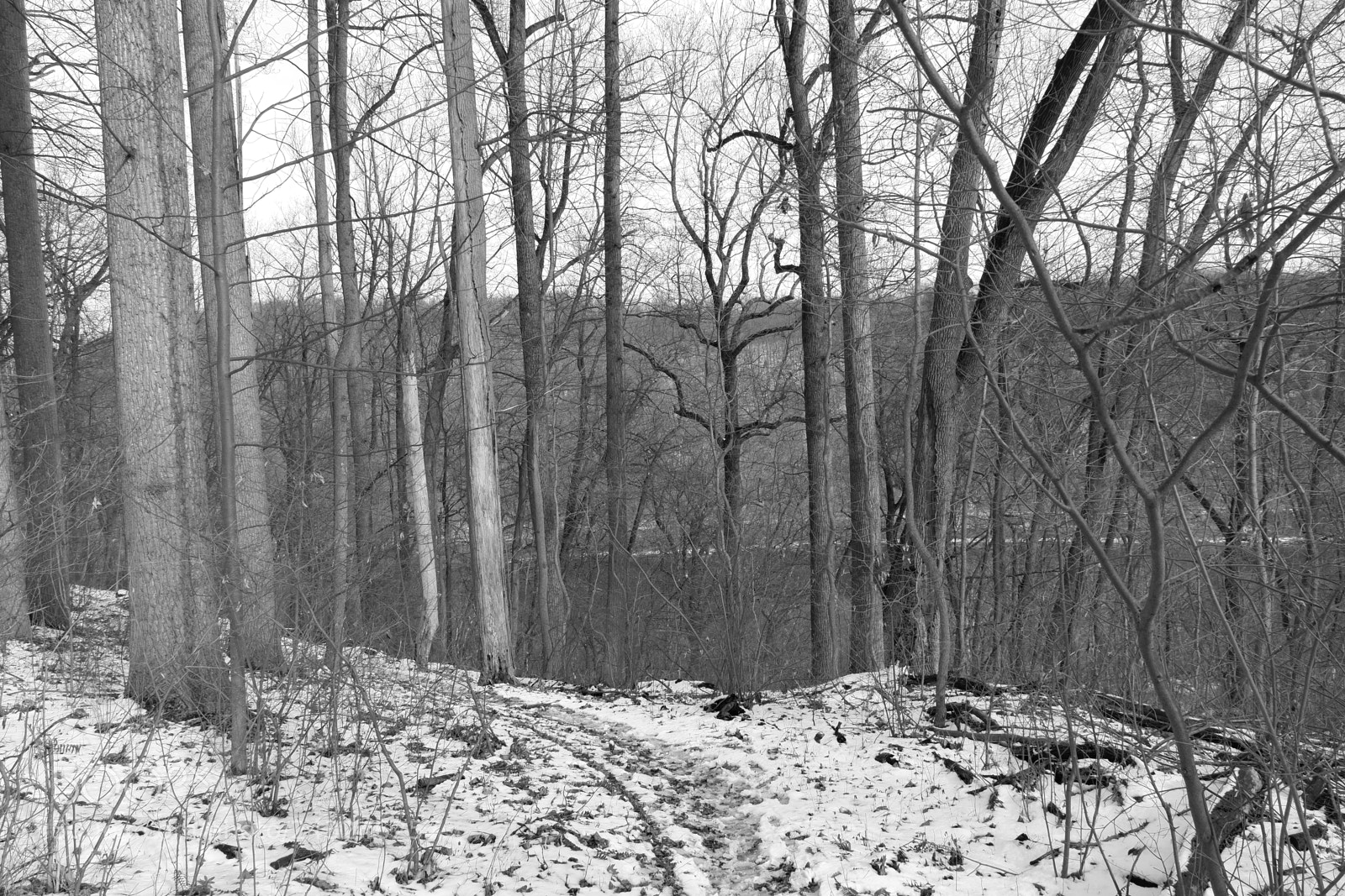 Fujifilm X-A3 sample photo. Mariton wildlife sanctuary photography