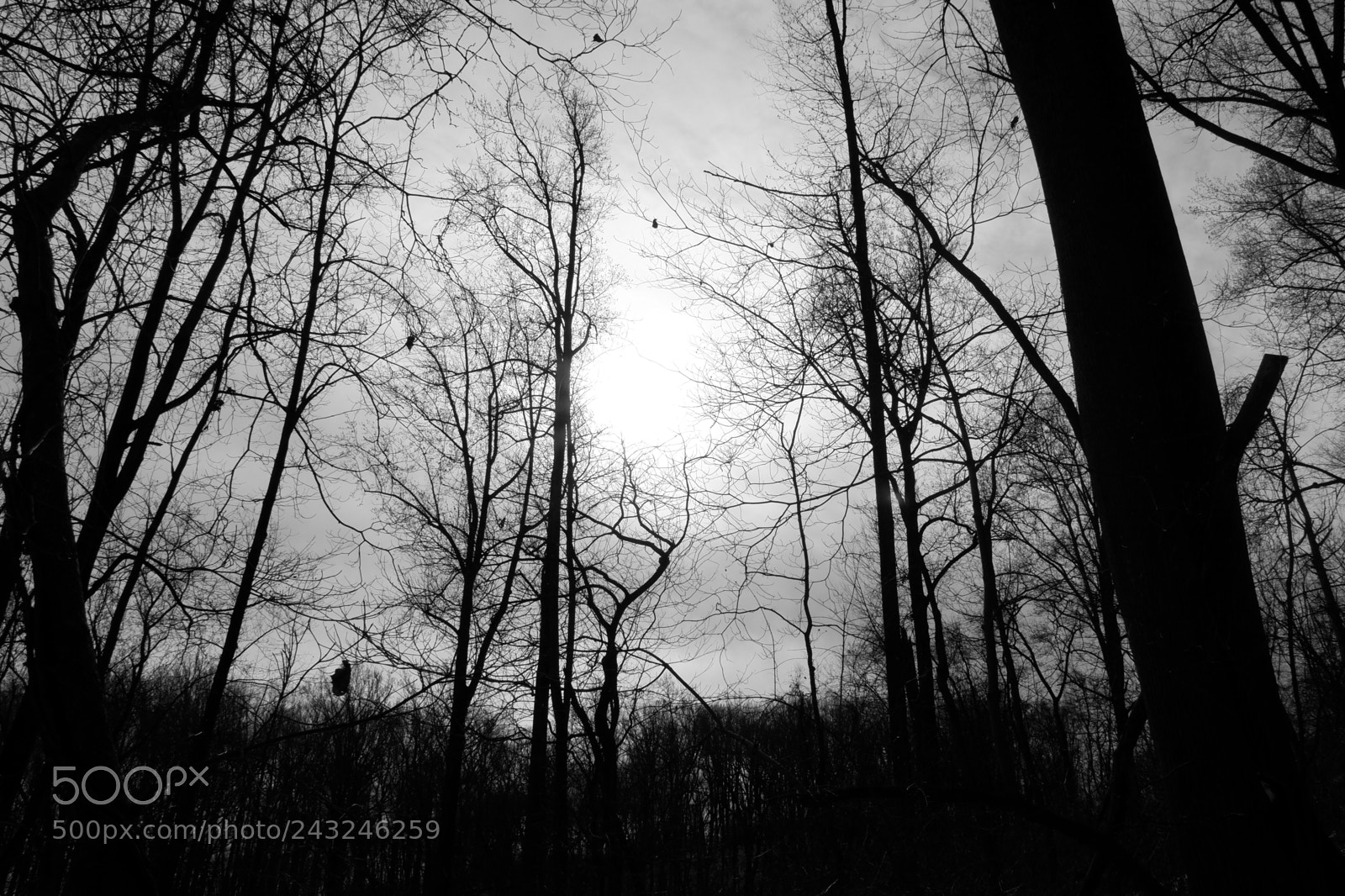 Fujifilm X-A3 sample photo. Mariton wildlife sanctuary photography