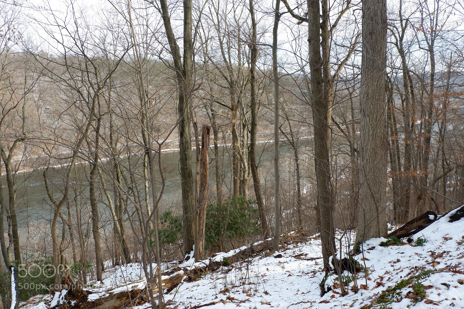 Fujifilm X-A3 sample photo. Mariton wildlife sanctuary photography