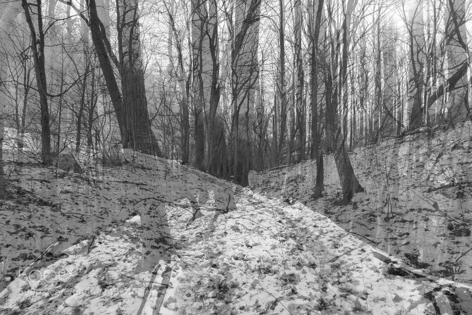 Fujifilm X-A3 sample photo. Mariton wildlife sanctuary photography