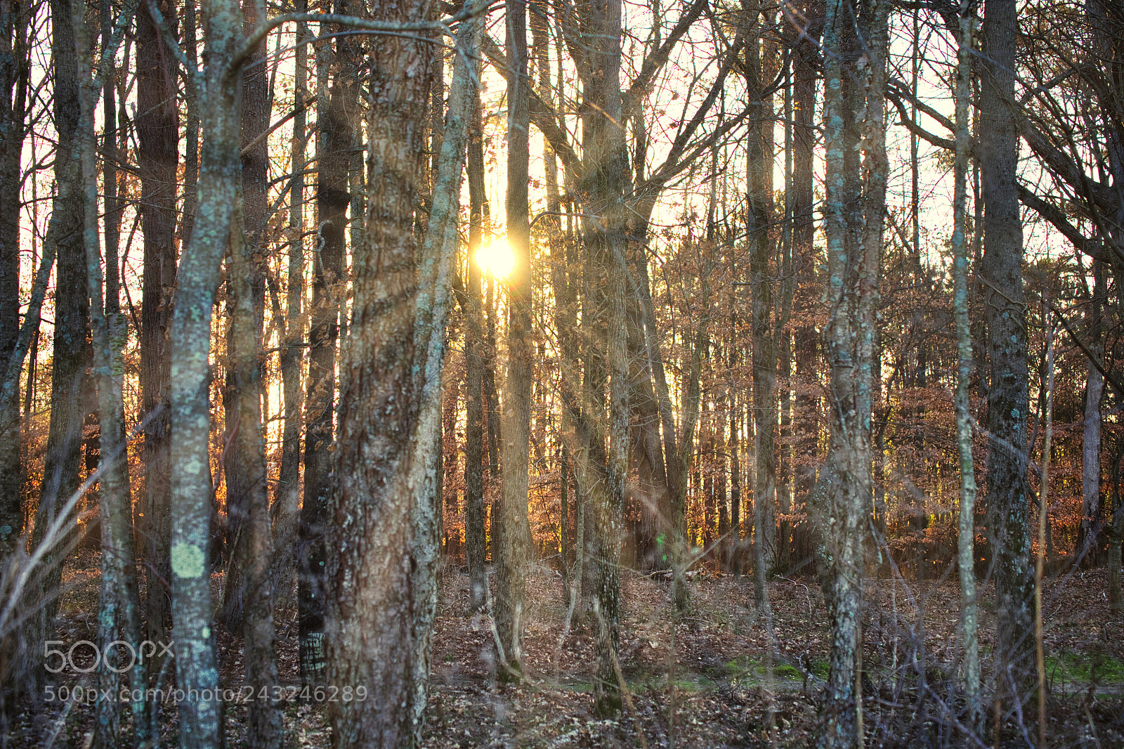 Fujifilm X-T1 sample photo. Untitled photography