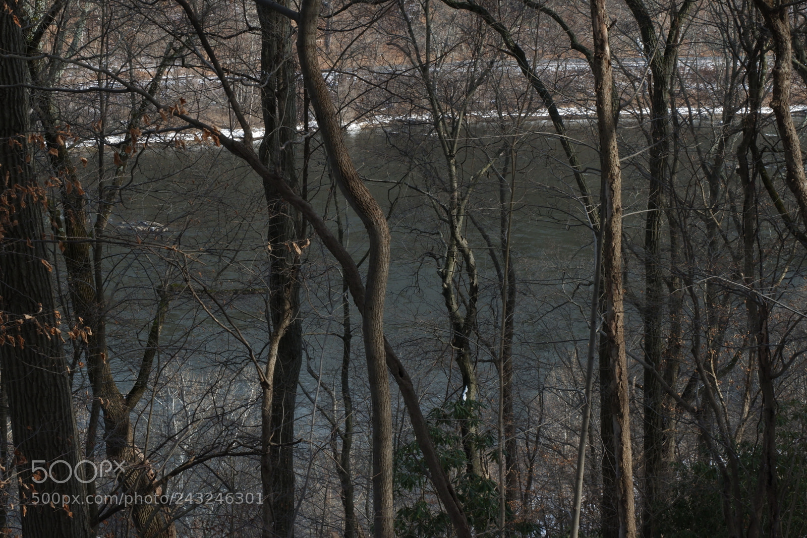 Fujifilm X-A3 sample photo. Mariton wildlife sanctuary photography