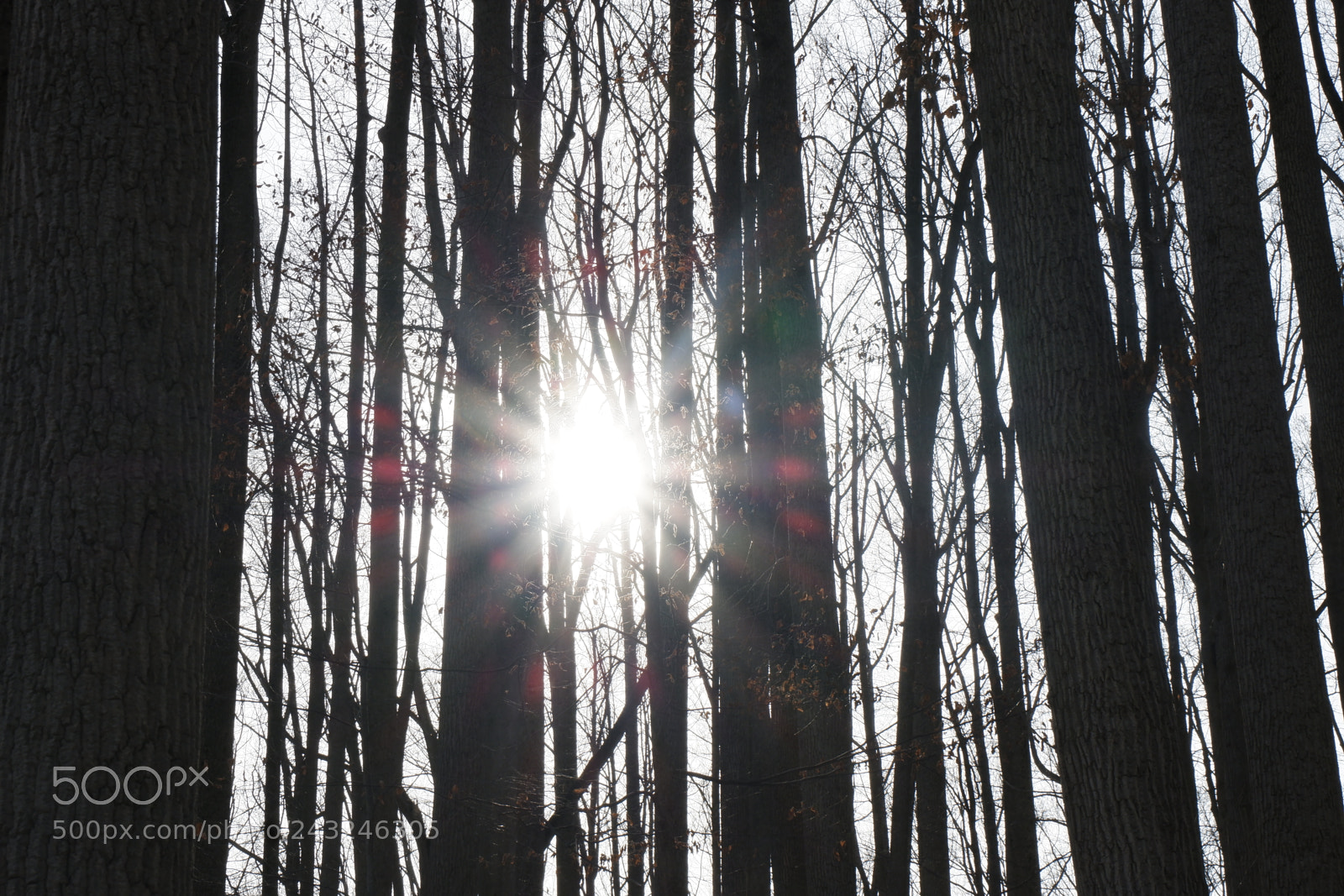 Fujifilm X-A3 sample photo. Mariton wildlife sanctuary photography