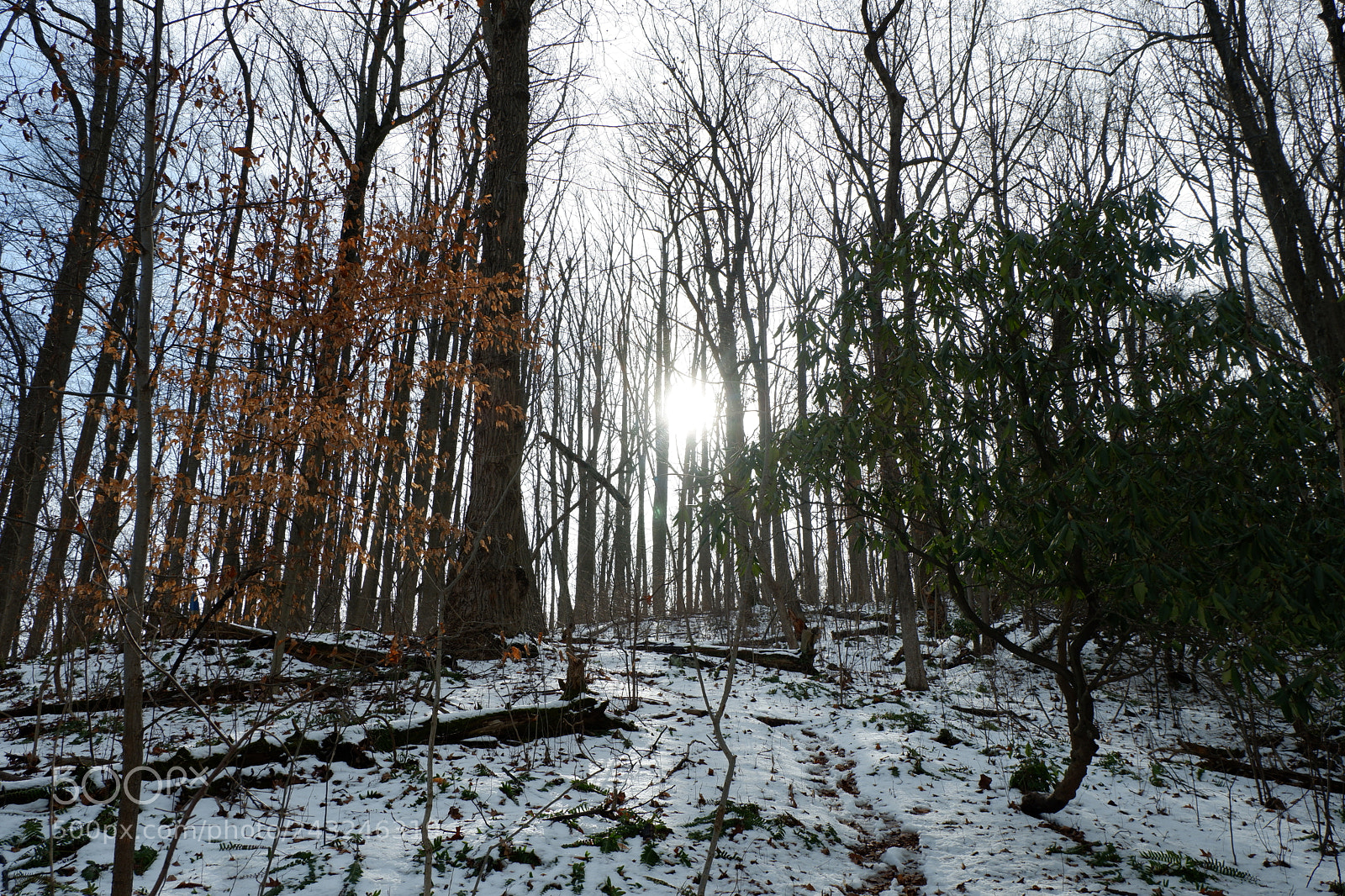 Fujifilm X-A3 sample photo. Mariton wildlife sanctuary photography
