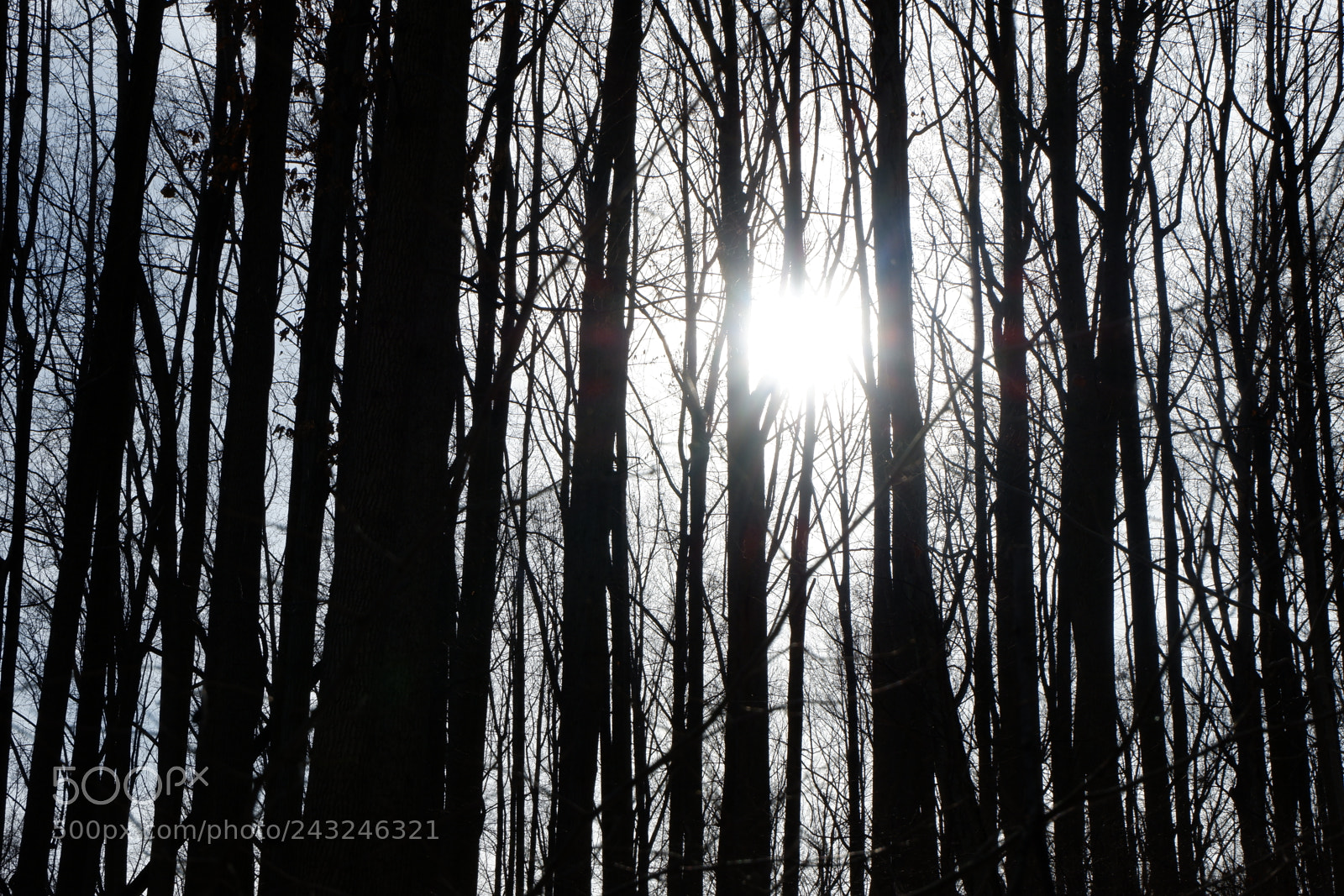 Fujifilm X-A3 sample photo. Mariton wildlife sanctuary photography