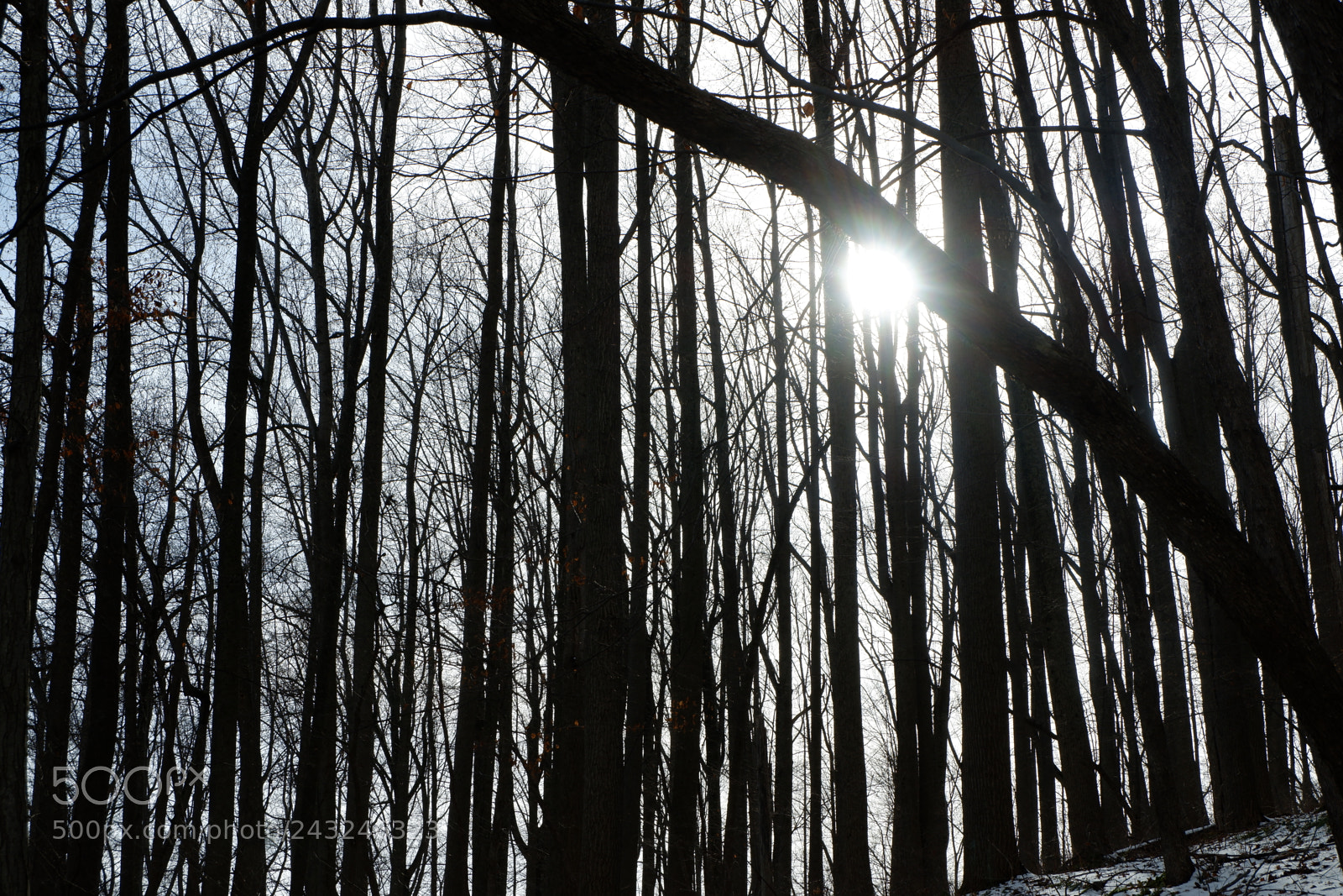 Fujifilm X-A3 sample photo. Mariton wildlife sanctuary photography