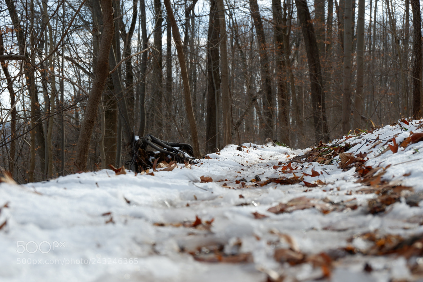 Fujifilm X-A3 sample photo. Mariton wildlife sanctuary photography