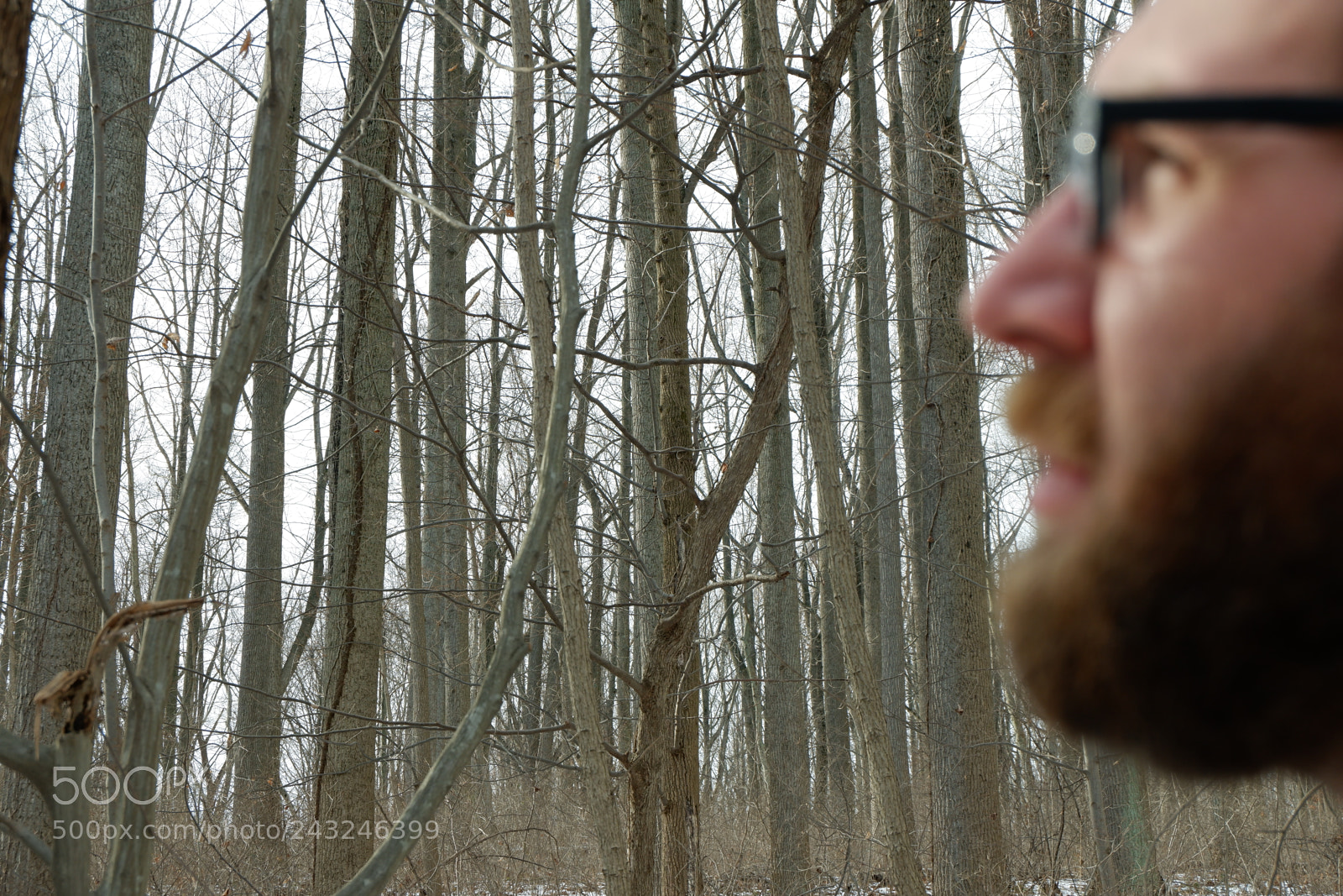 Fujifilm X-A3 sample photo. Mariton wildlife sanctuary photography