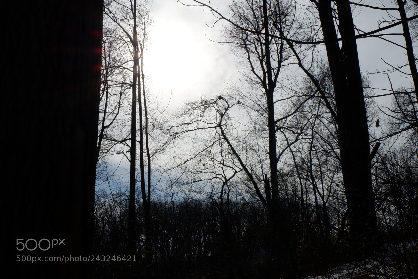 Fujifilm X-A3 sample photo. Mariton wildlife sanctuary photography