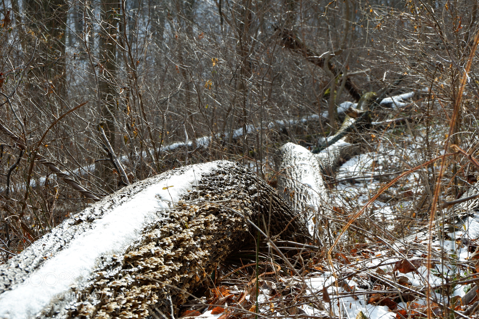 Fujifilm X-A3 sample photo. Mariton wildlife sanctuary photography
