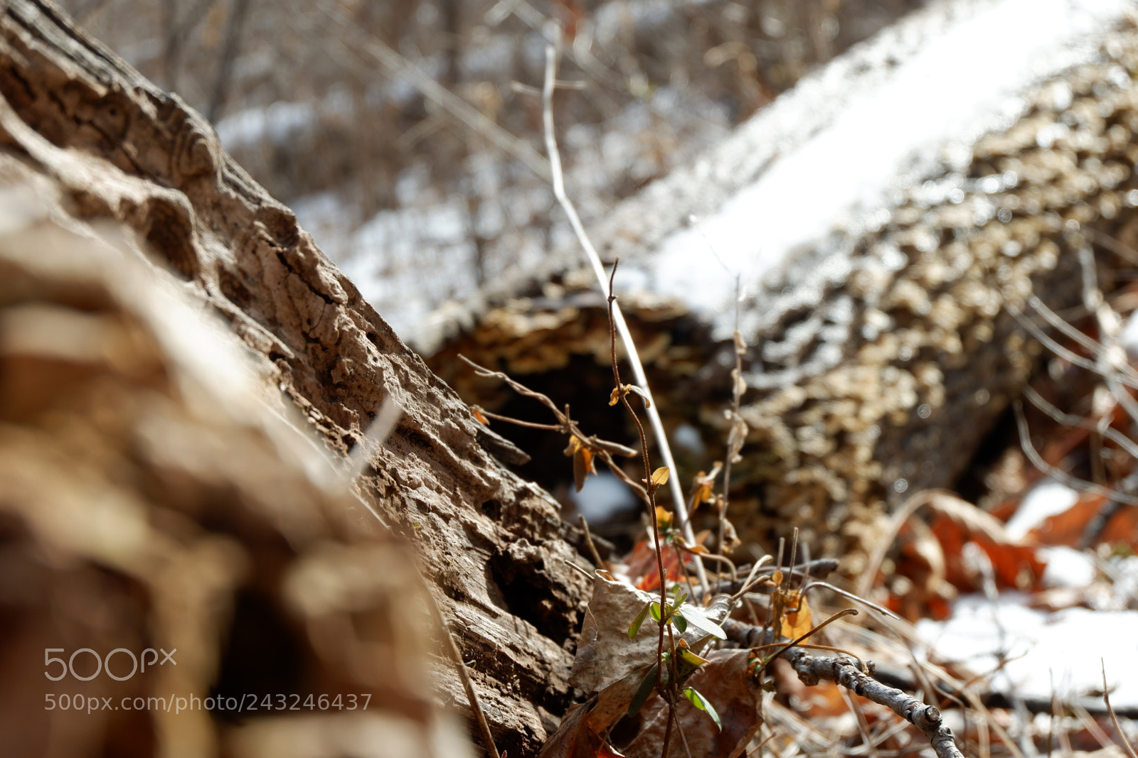 Fujifilm X-A3 sample photo. Mariton wildlife sanctuary photography