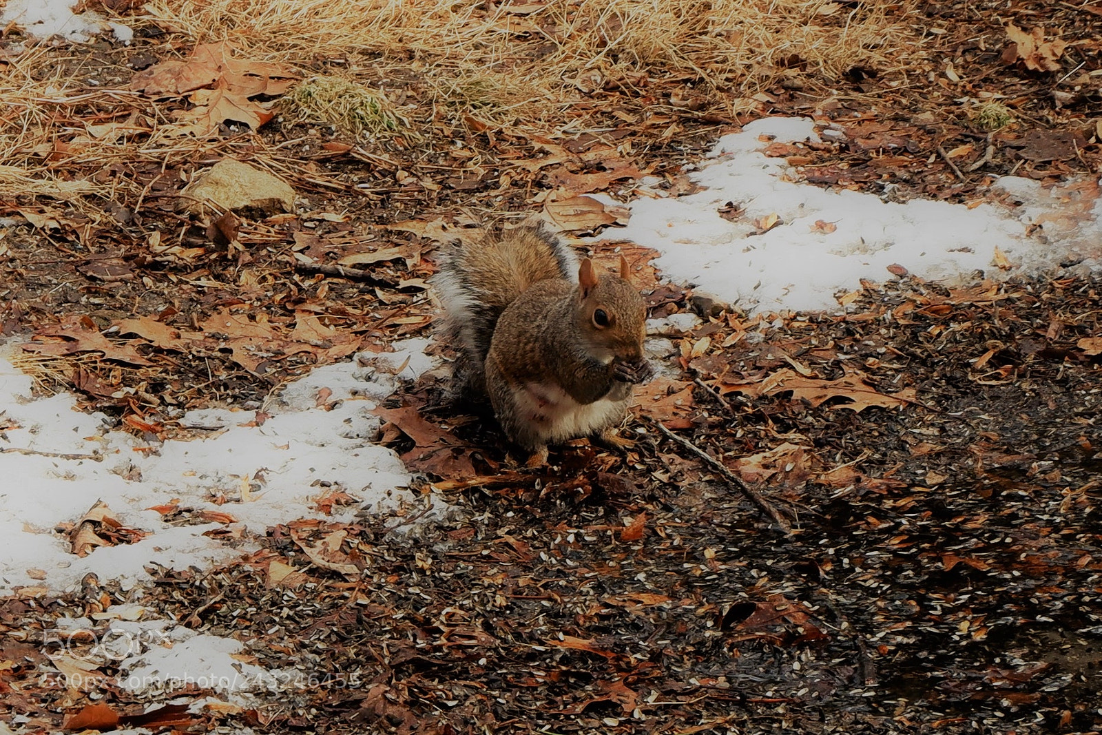 Fujifilm X-A3 sample photo. Mariton wildlife sanctuary photography