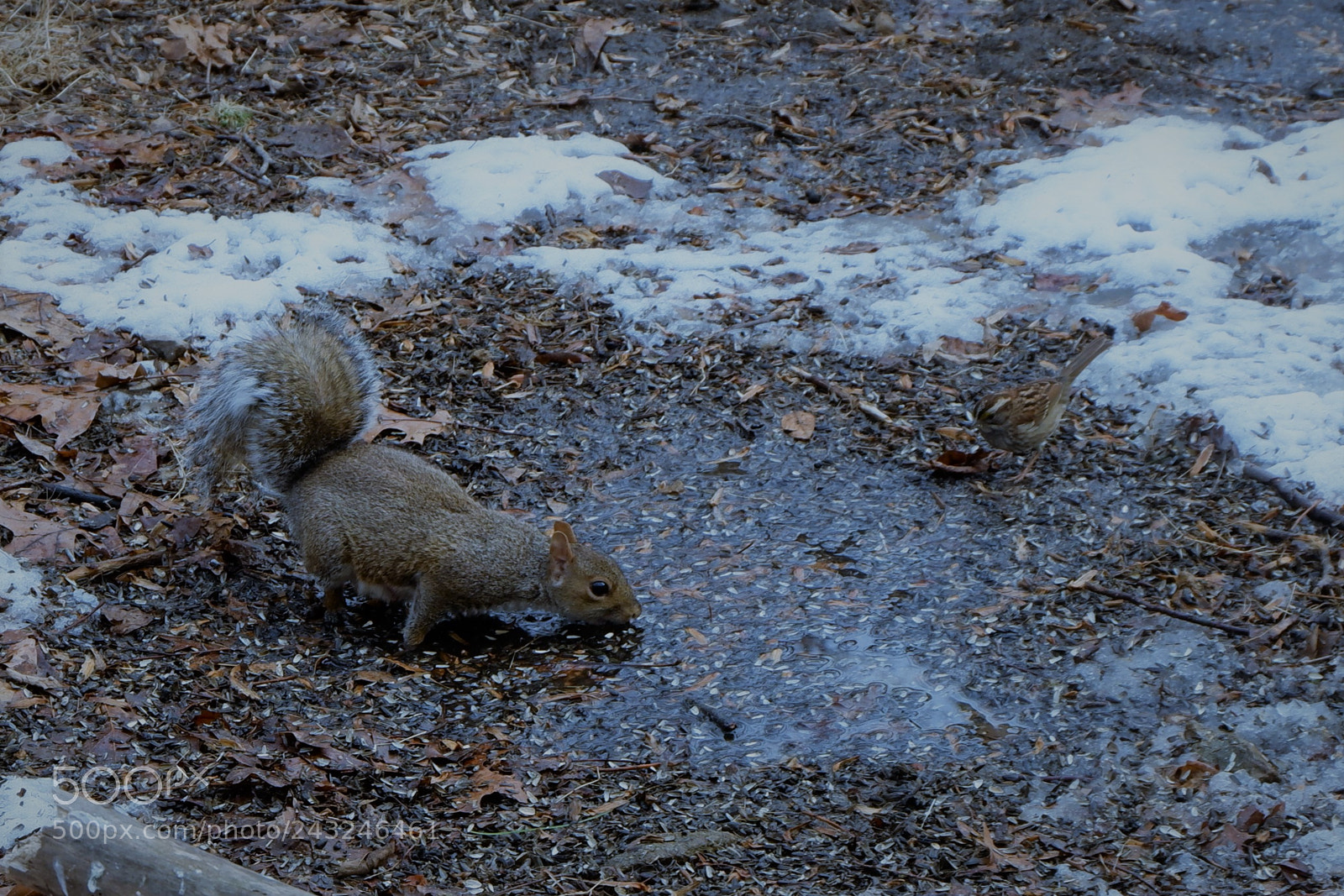 Fujifilm X-A3 sample photo. Mariton wildlife sanctuary photography