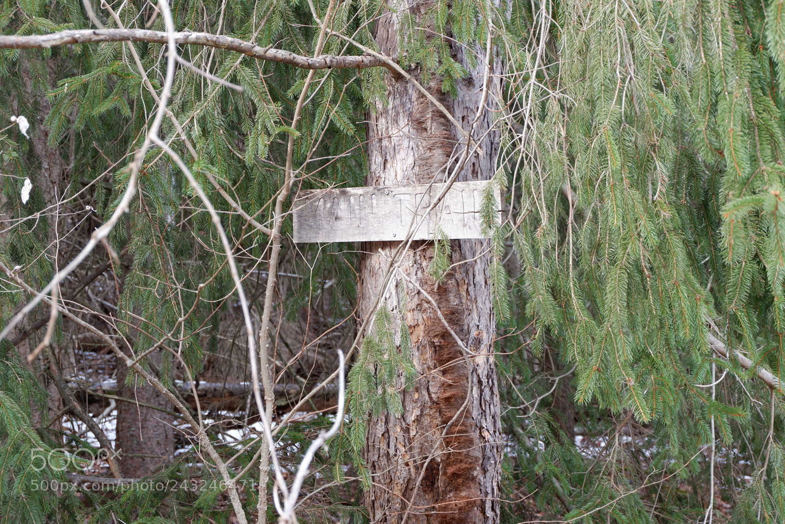 Fujifilm X-A3 sample photo. Mariton wildlife sanctuary photography