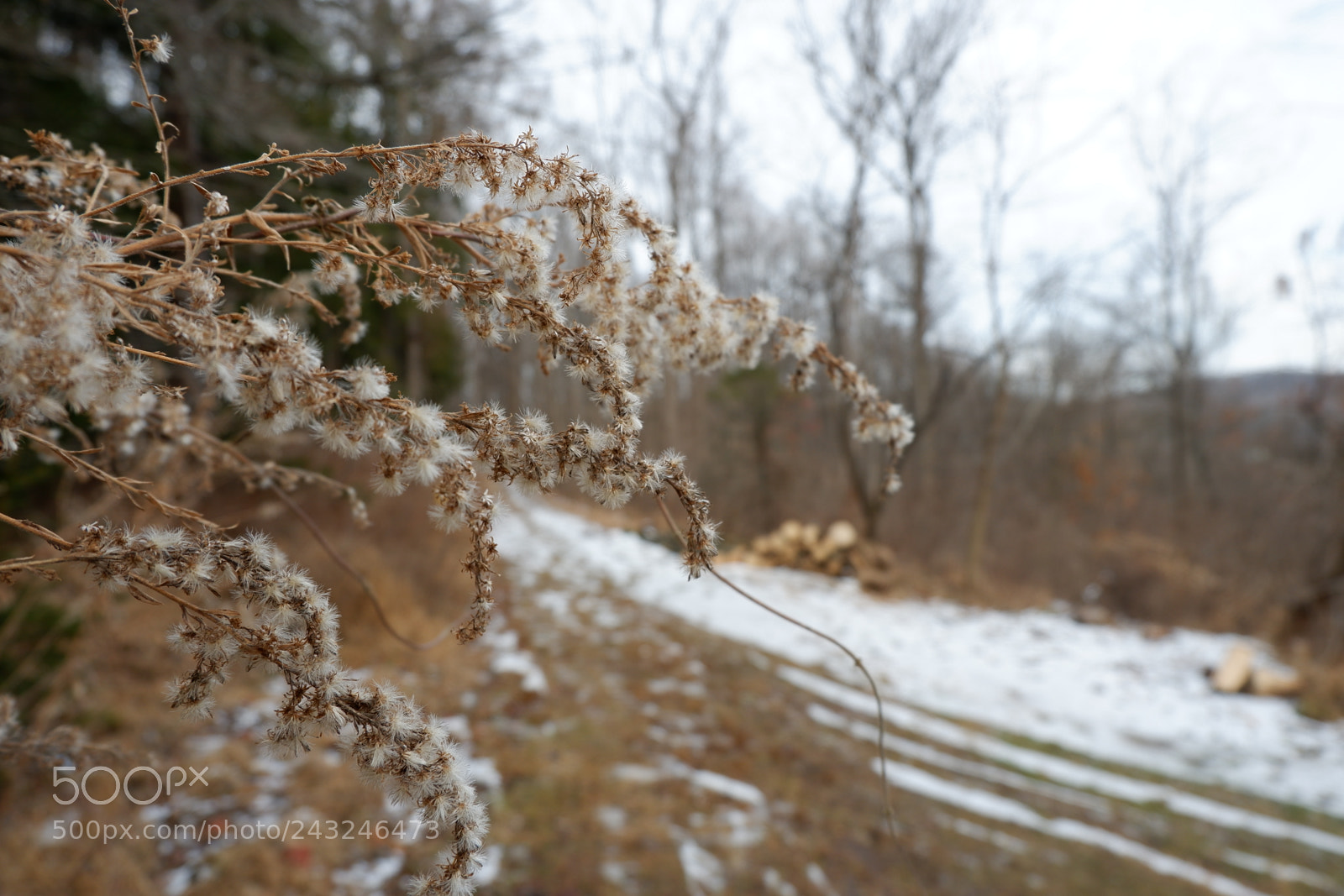 Fujifilm X-A3 sample photo. Mariton wildlife sanctuary photography