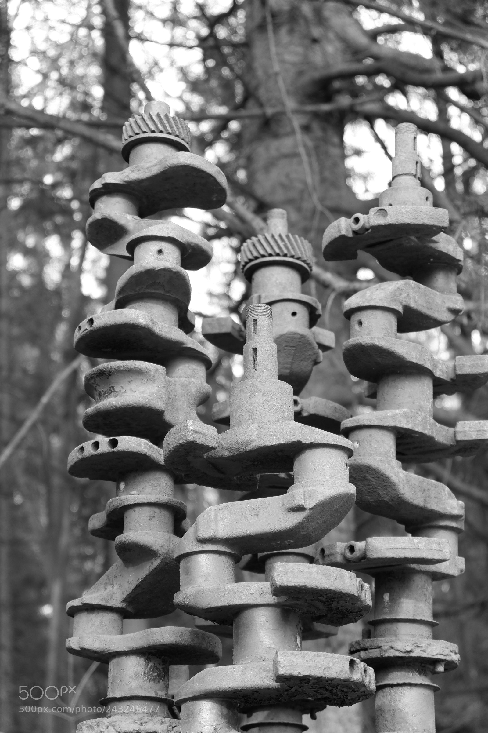 Fujifilm X-A3 sample photo. Mariton wildlife sanctuary photography