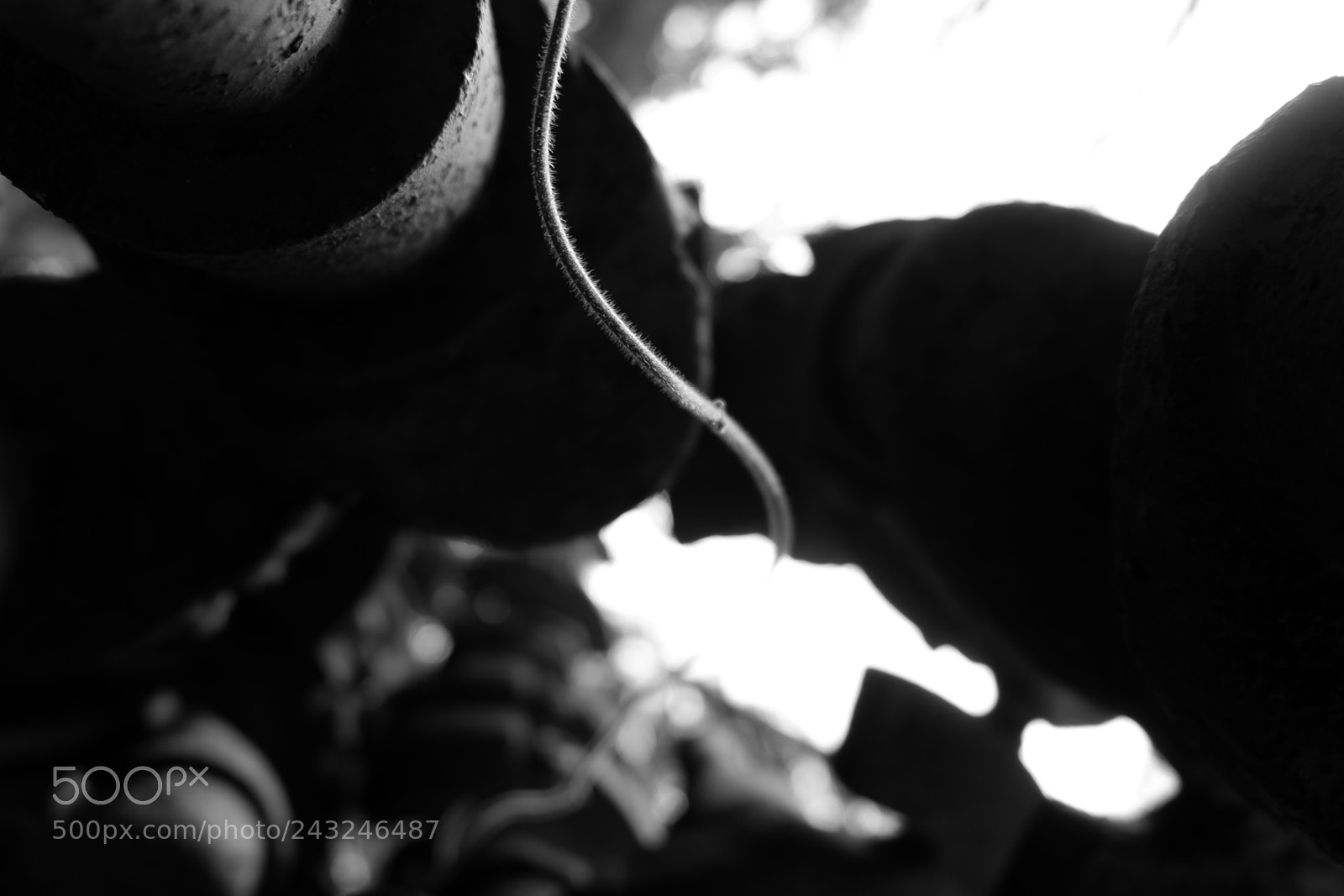 Fujifilm X-A3 sample photo. Mariton wildlife sanctuary photography