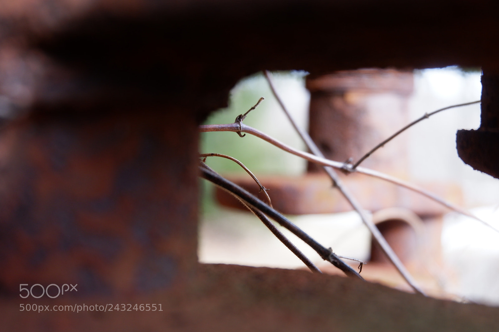 Fujifilm X-A3 sample photo. Mariton wildlife sanctuary photography
