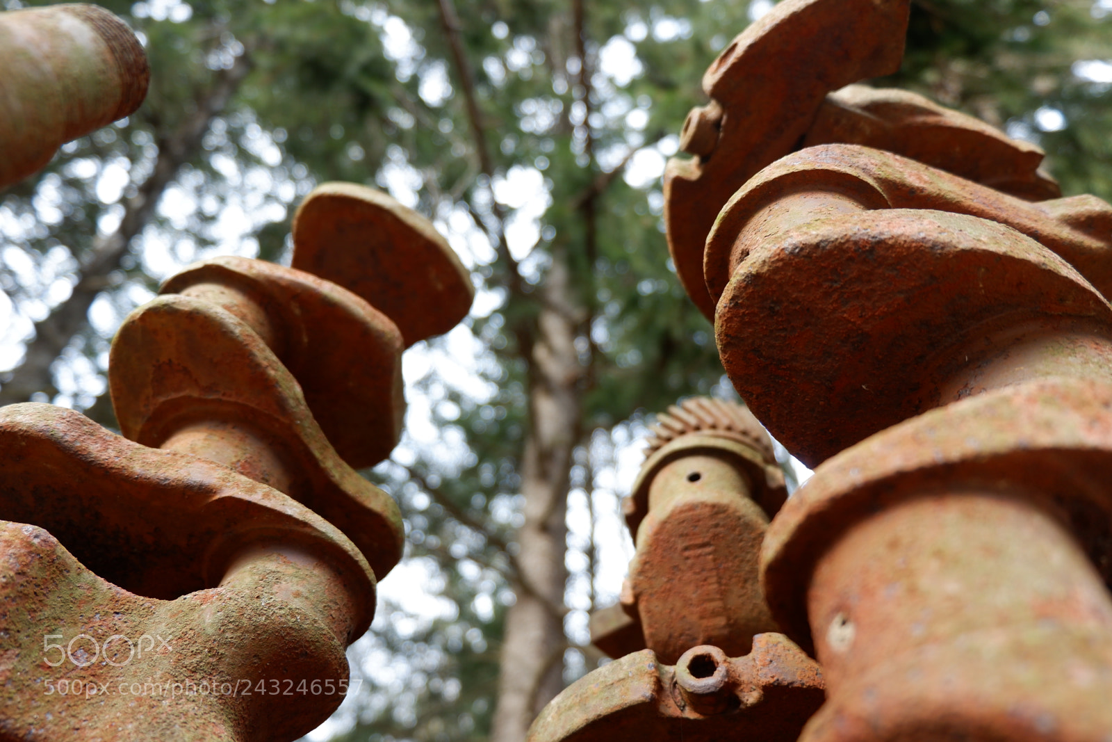 Fujifilm X-A3 sample photo. Mariton wildlife sanctuary photography