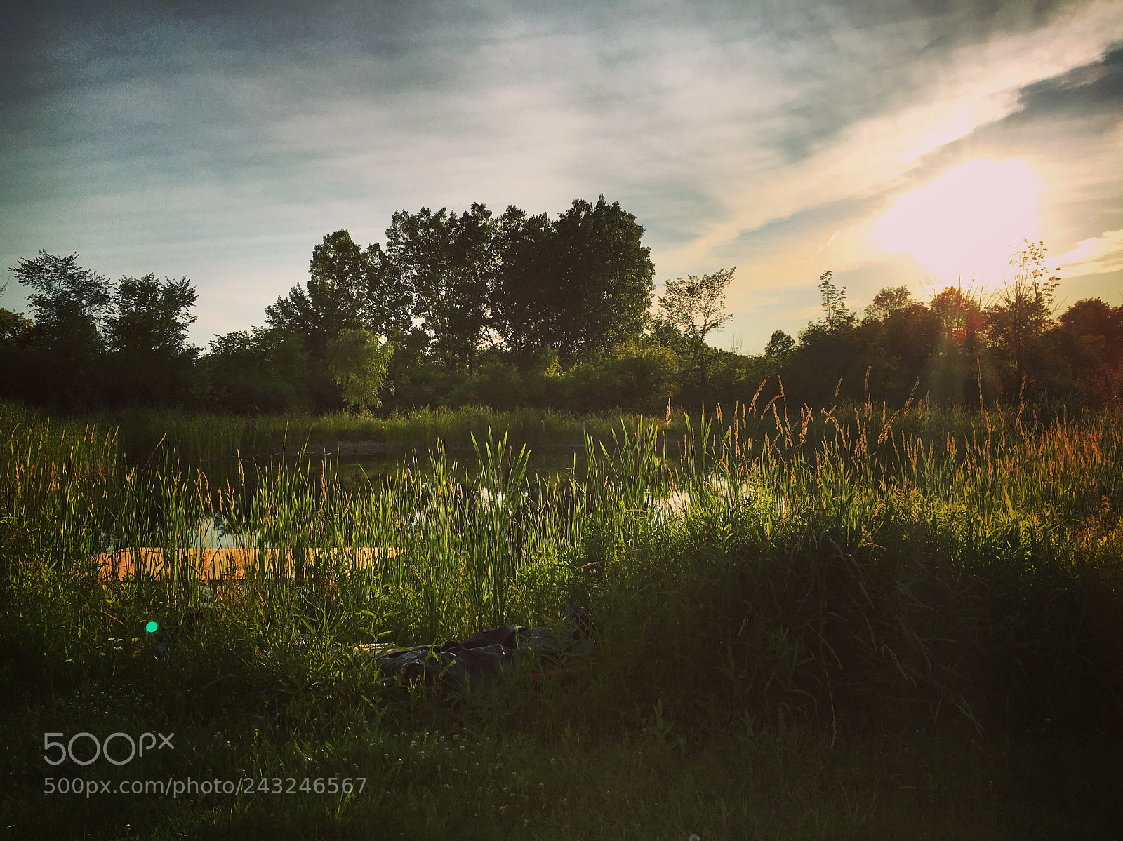 Apple iPhone 6s sample photo. Light serenity - ann photography