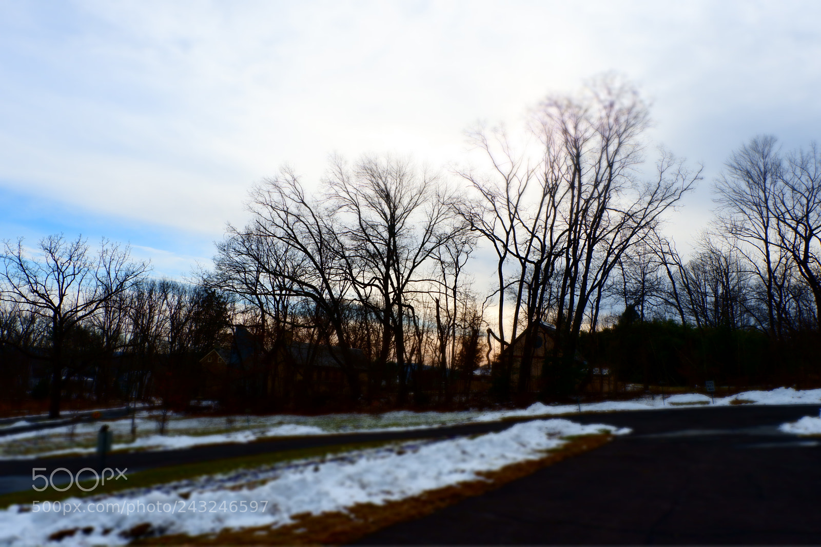 Fujifilm X-A3 sample photo. Mariton wildlife sanctuary photography