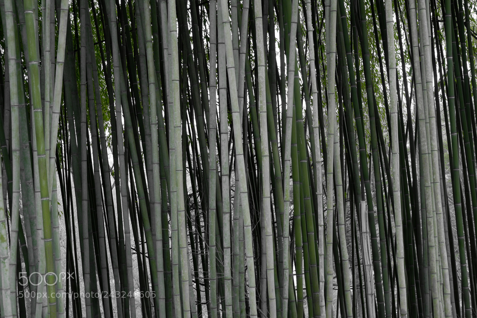 Fujifilm X-A3 sample photo. Mariton wildlife sanctuary photography
