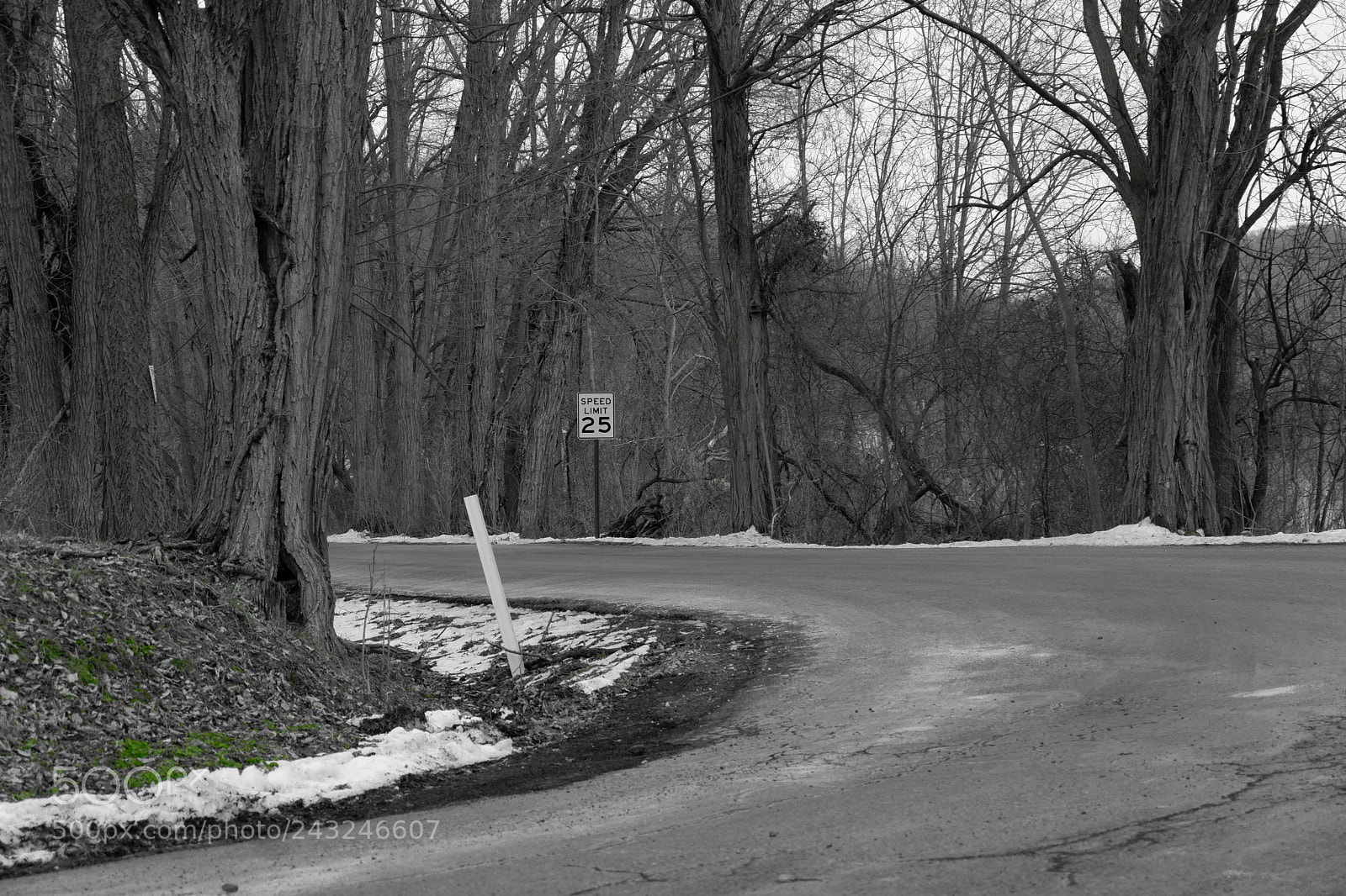 Fujifilm X-A3 sample photo. Mariton wildlife sanctuary photography