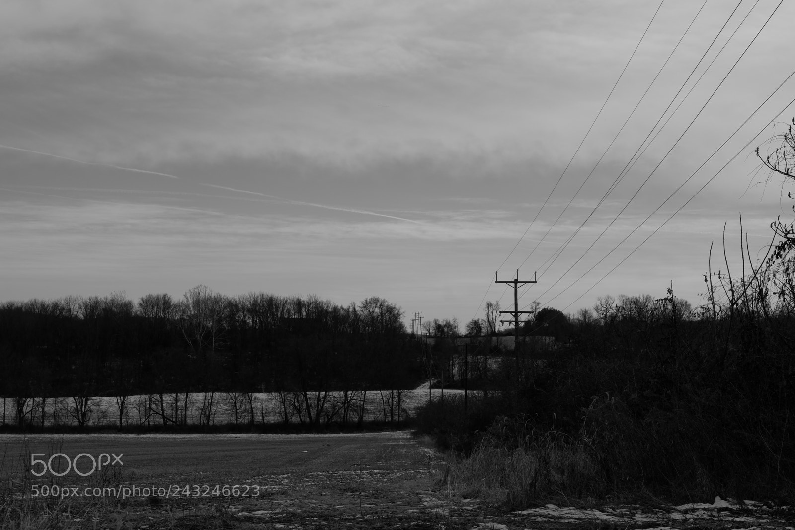 Fujifilm X-A3 sample photo. Mariton wildlife sanctuary photography