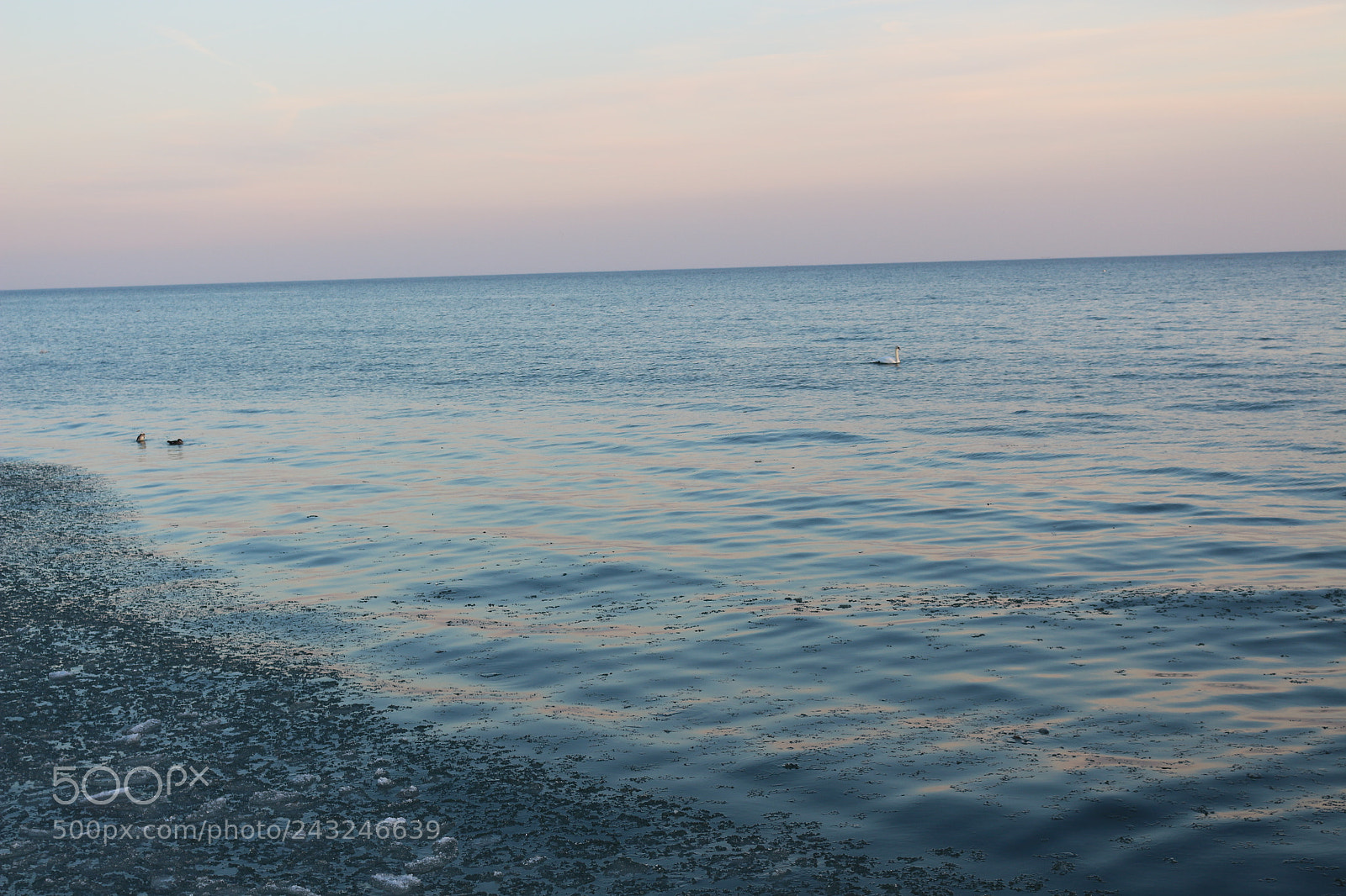 Canon EOS 700D (EOS Rebel T5i / EOS Kiss X7i) sample photo. Img photography
