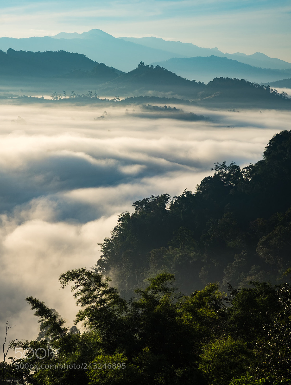 Fujifilm X-T1 sample photo. Jabo cloud sea 1 photography