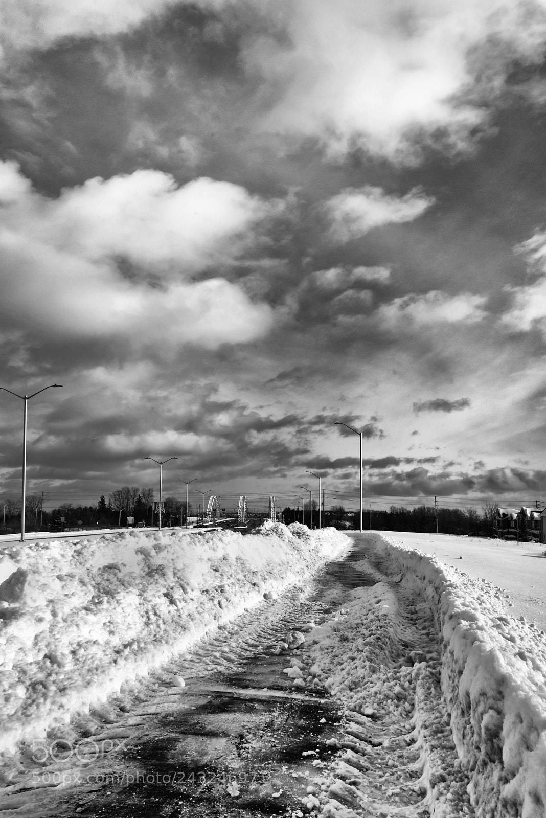 Nikon D610 sample photo. A path of winter photography