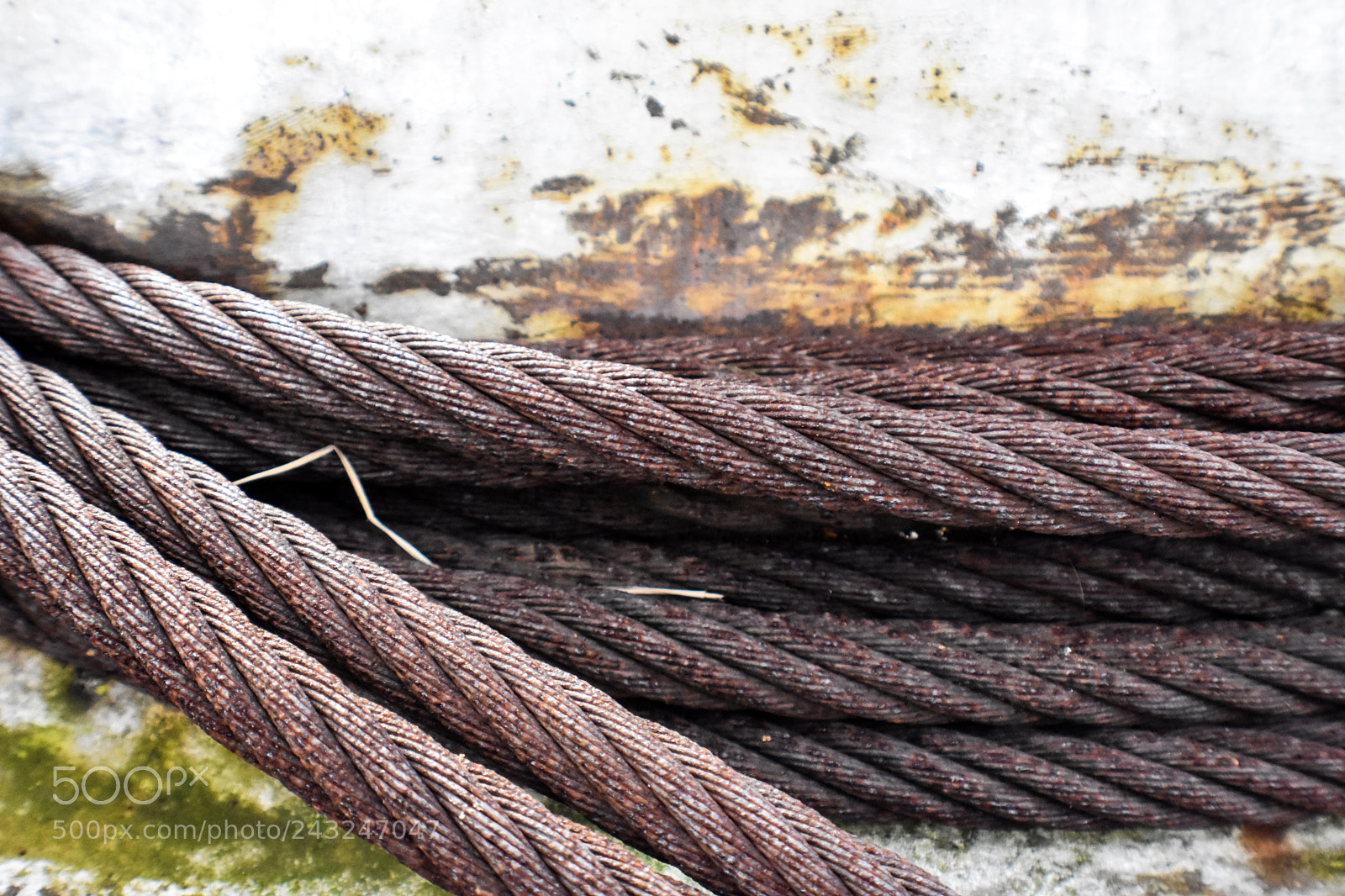 Nikon D3400 sample photo. Cable photography