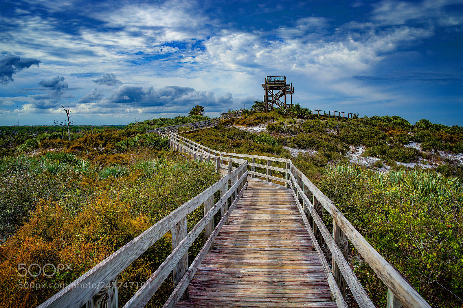 Nikon D800E sample photo. Johnathan dickinson state park photography